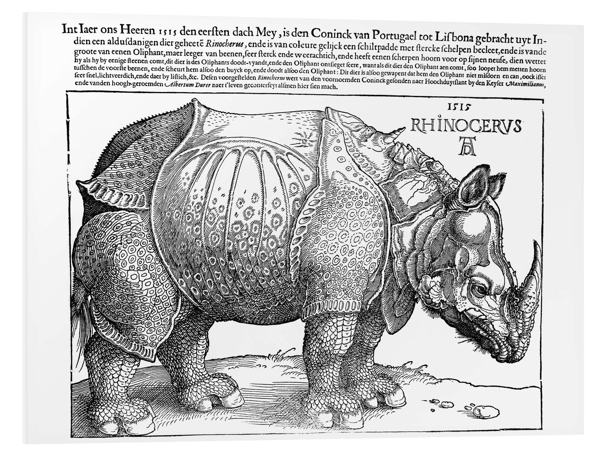 Forex-Bild Albrecht Dürer