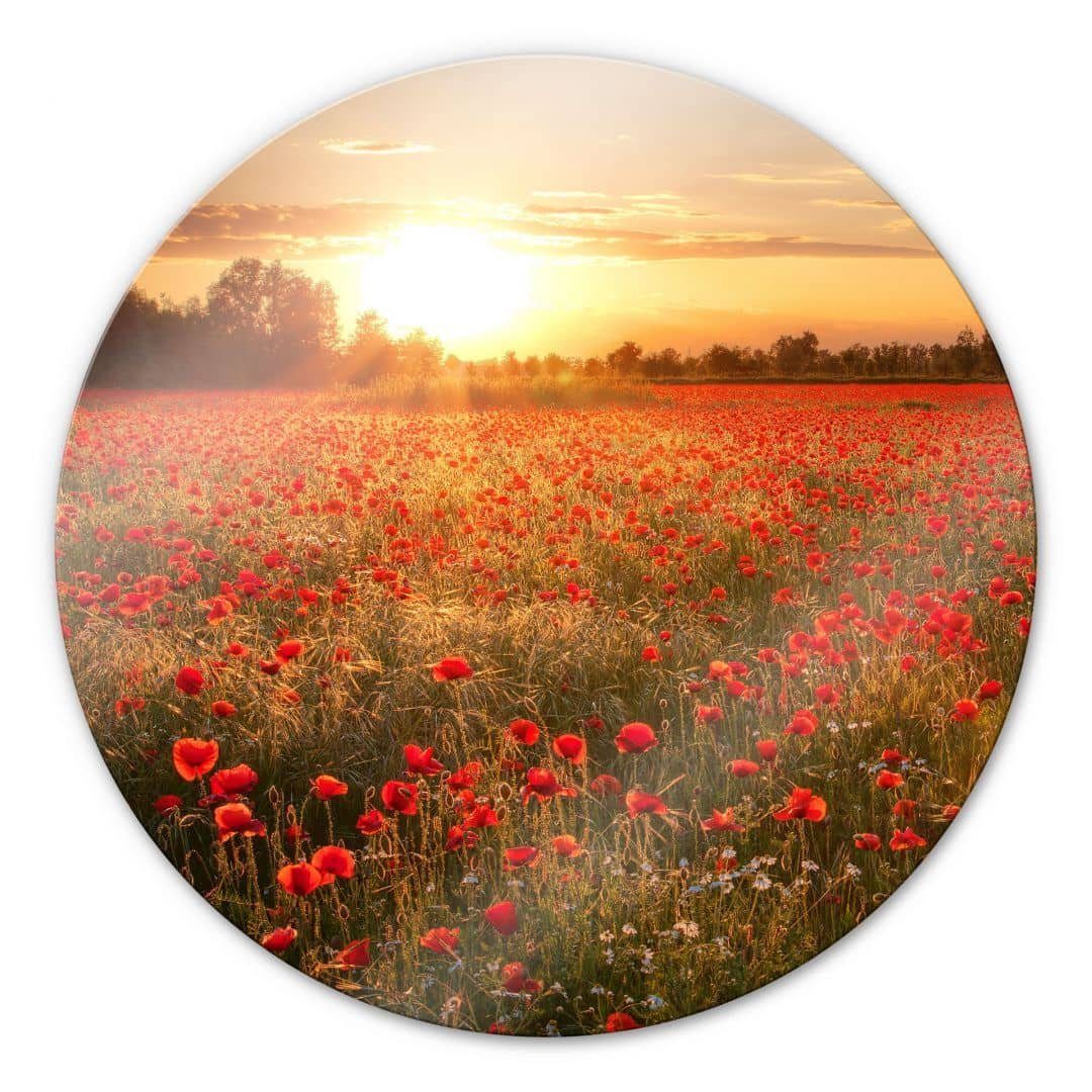 K&L Wall Art Glasbild Glas Wandbild Rund Glasbild Mohnfeld Blumen Sonnenuntergang, Wandschutz Deko Bilder