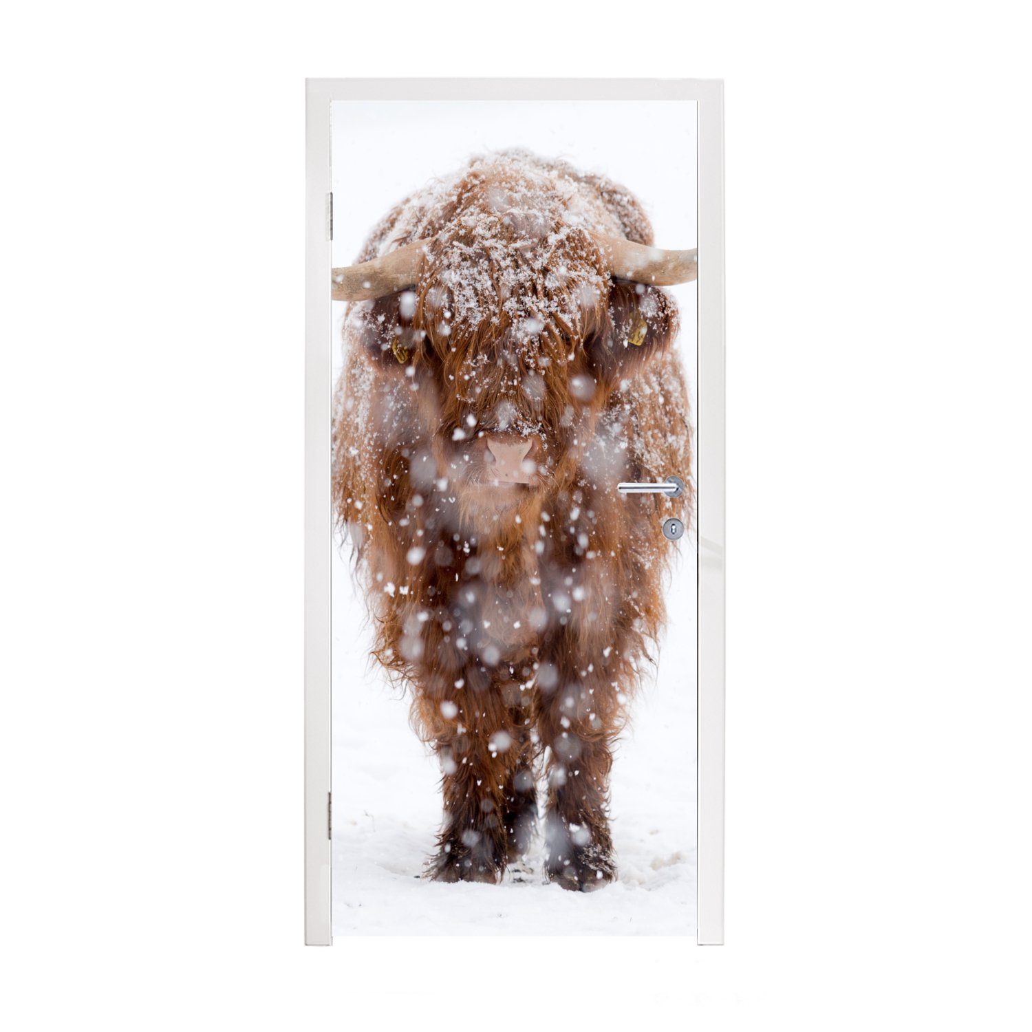 MuchoWow Türtapete Schottischer Highlander - Kuh - Schnee, Matt, bedruckt, (1 St), Fototapete für Tür, Türaufkleber, 75x205 cm