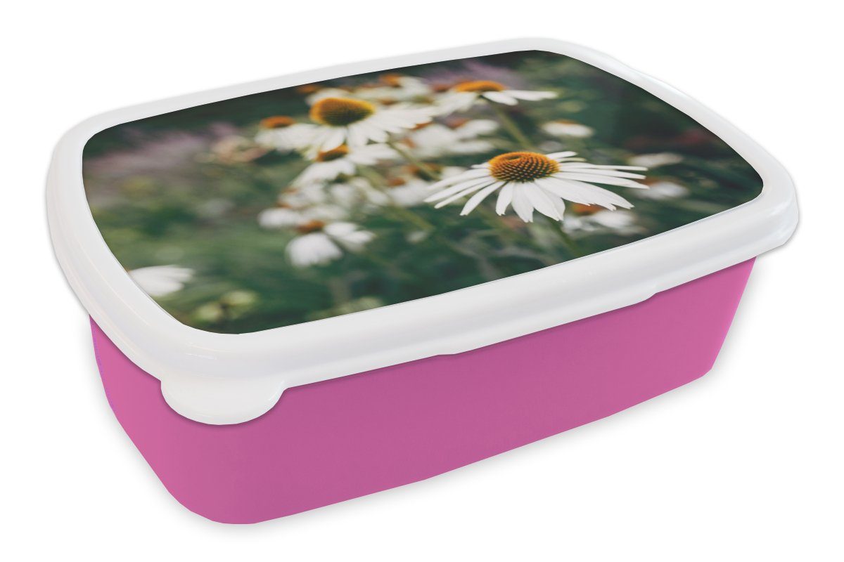 MuchoWow Lunchbox Blumen - Herbst - Botanisch, Kunststoff, (2-tlg), Brotbox für Erwachsene, Brotdose Kinder, Snackbox, Mädchen, Kunststoff rosa