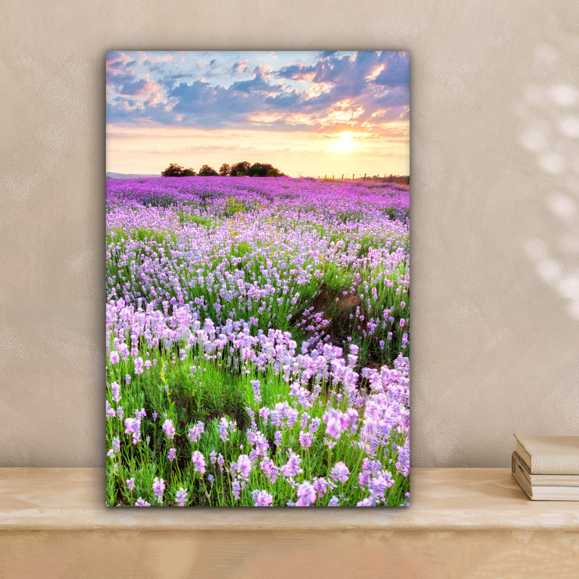 OneMillionCanvasses® Leinwandbild Blumen - Lavendel - Lila - Himmel - Sonne günstig online kaufen