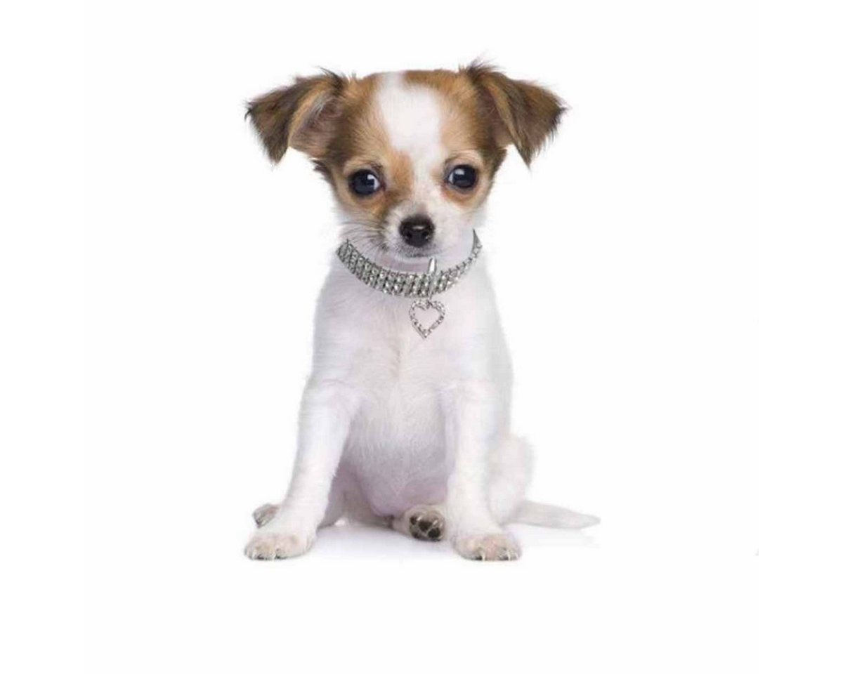 Thumbnail - Monkimau Hunde-Halsband Hundehalsband Katzenhalsband Herz Anhänger rot - S