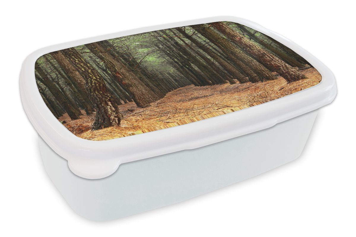 MuchoWow Lunchbox Herbst - Dekoration - Wald, Kunststoff, (2-tlg), Brotbox für Kinder und Erwachsene, Brotdose, für Jungs und Mädchen weiß