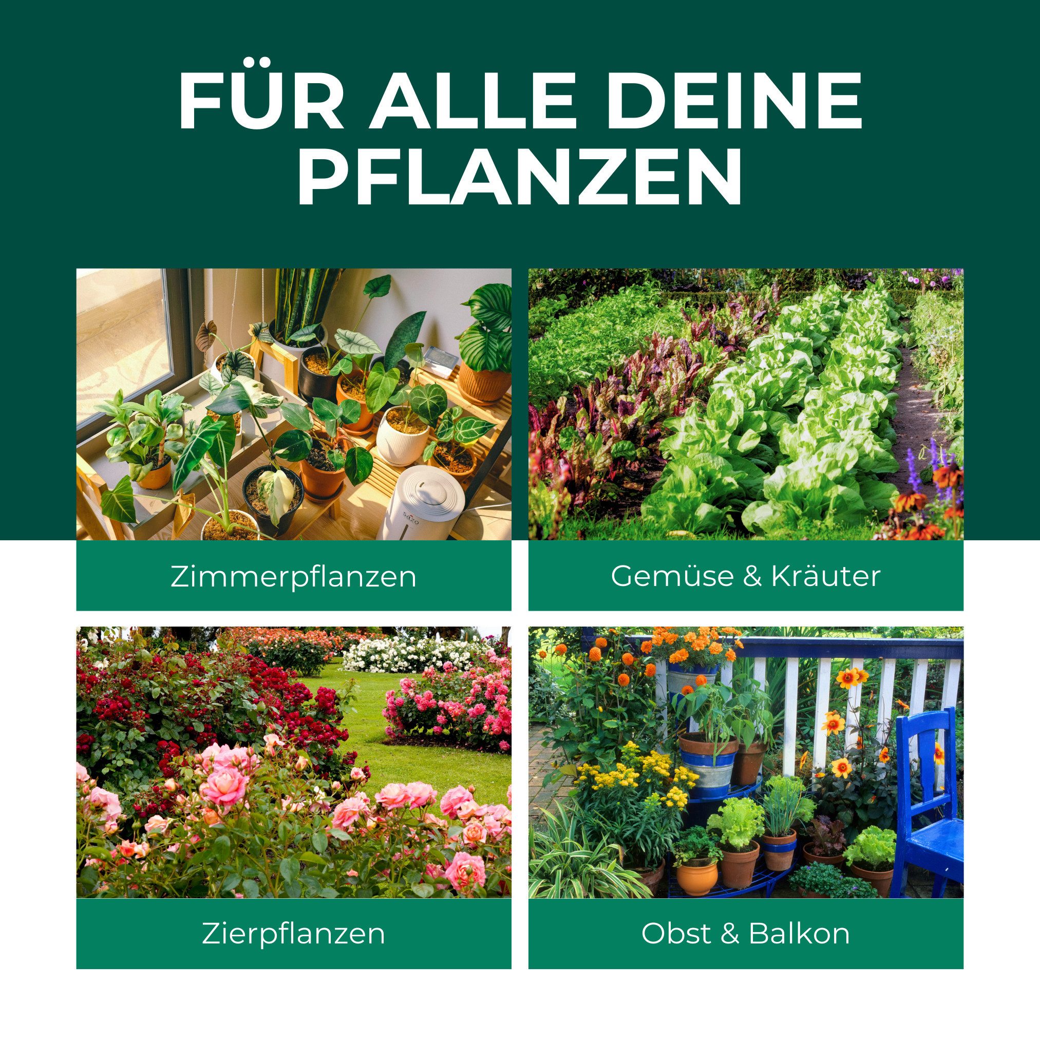 Silberkraft Pflanzenstärkungsmittel Silberkraft Neemöl mit Emulgator Pflanzenschutz inkl. Gratis E-Book, Stärkt & vitalisiert Pflanzen, sofort einsatzbereit, Unterstütze die Widerstandskraft deiner Pflanzen gegen Schädling