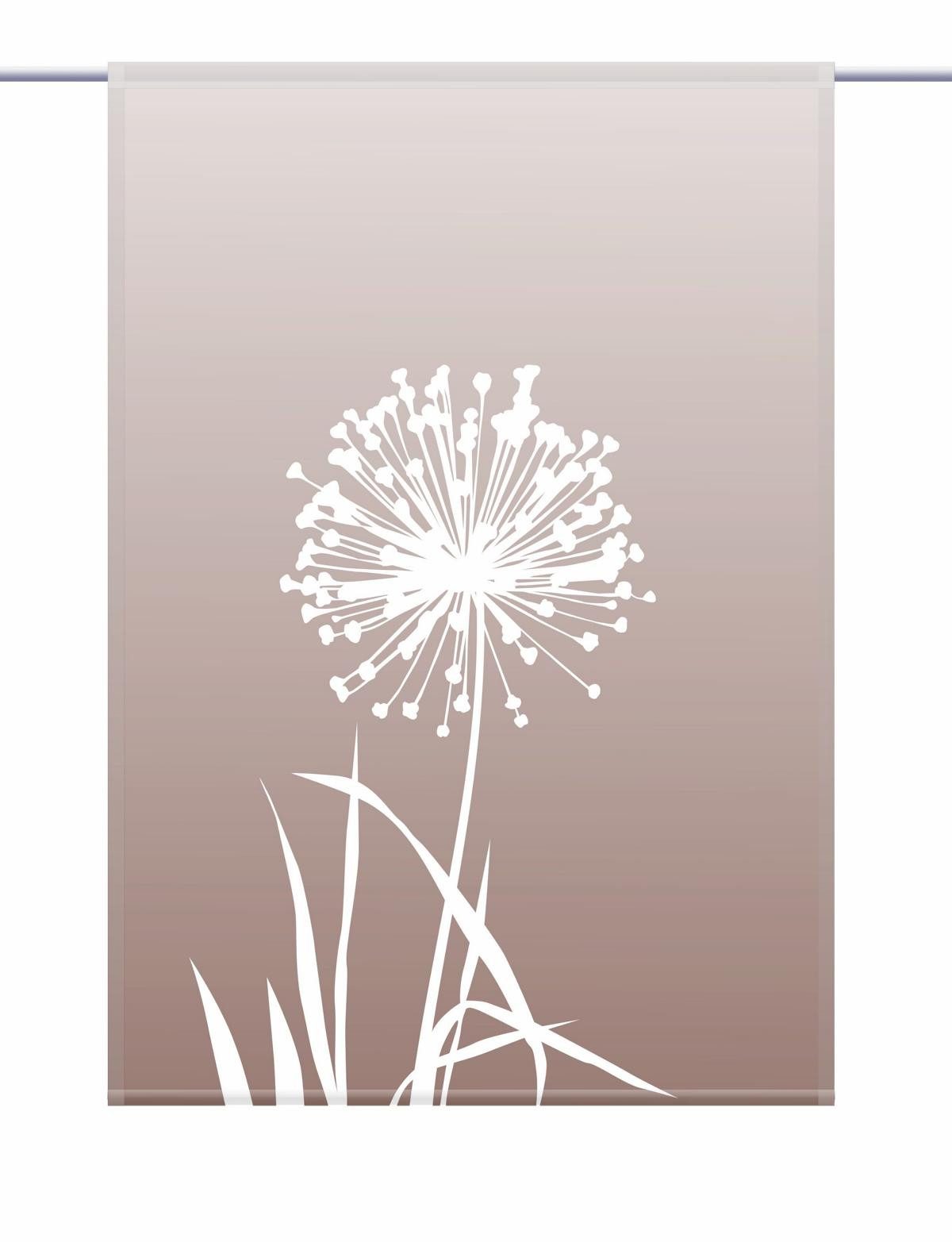 gardinen-for-life Scheibengardine Allium 24 - coffee günstig online kaufen