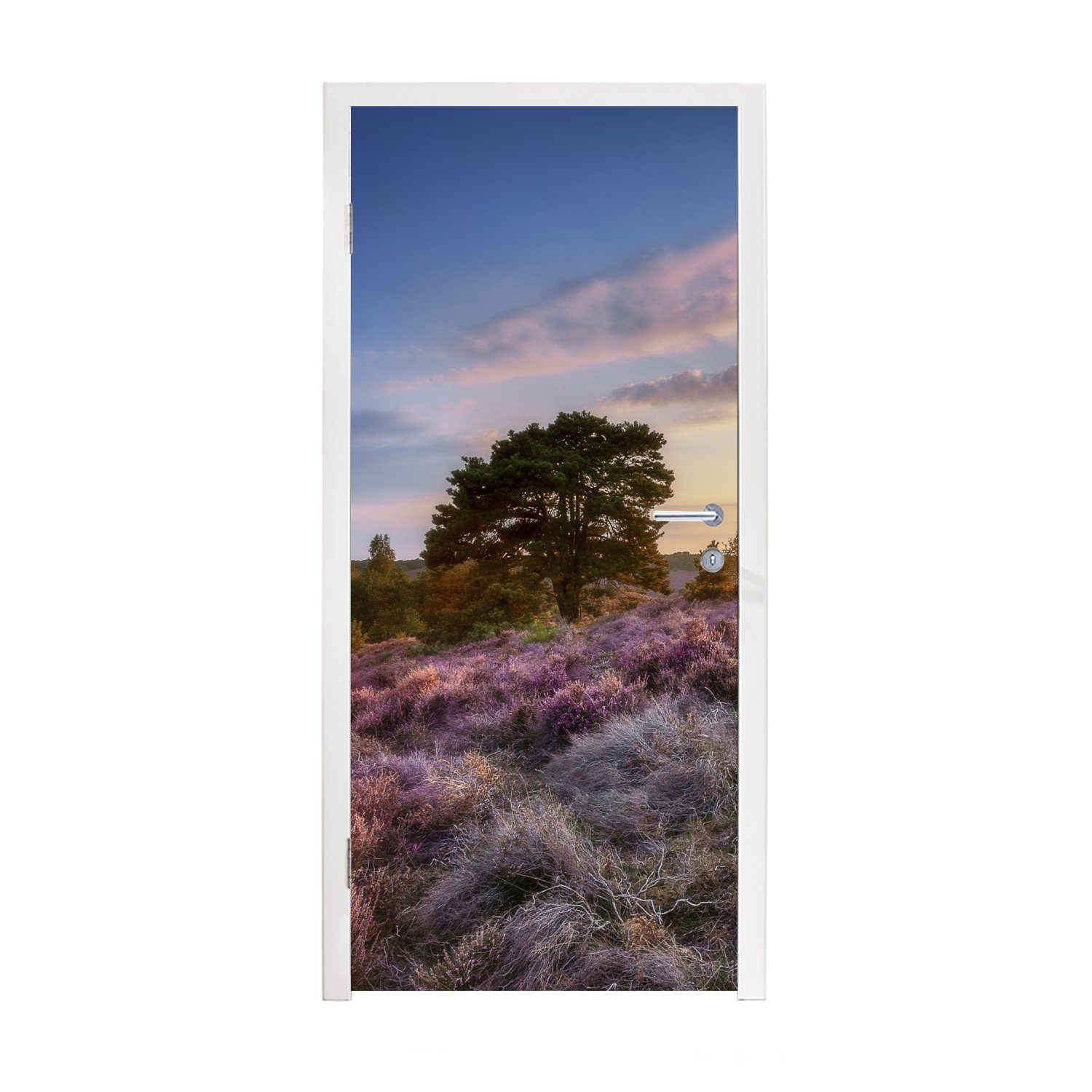 Ein neues Produkt ist eingetroffen MuchoWow Türtapete Heide bei Sonnenuntergang, cm Türaufkleber, für Matt, St), (1 75x205 bedruckt, Fototapete Tür