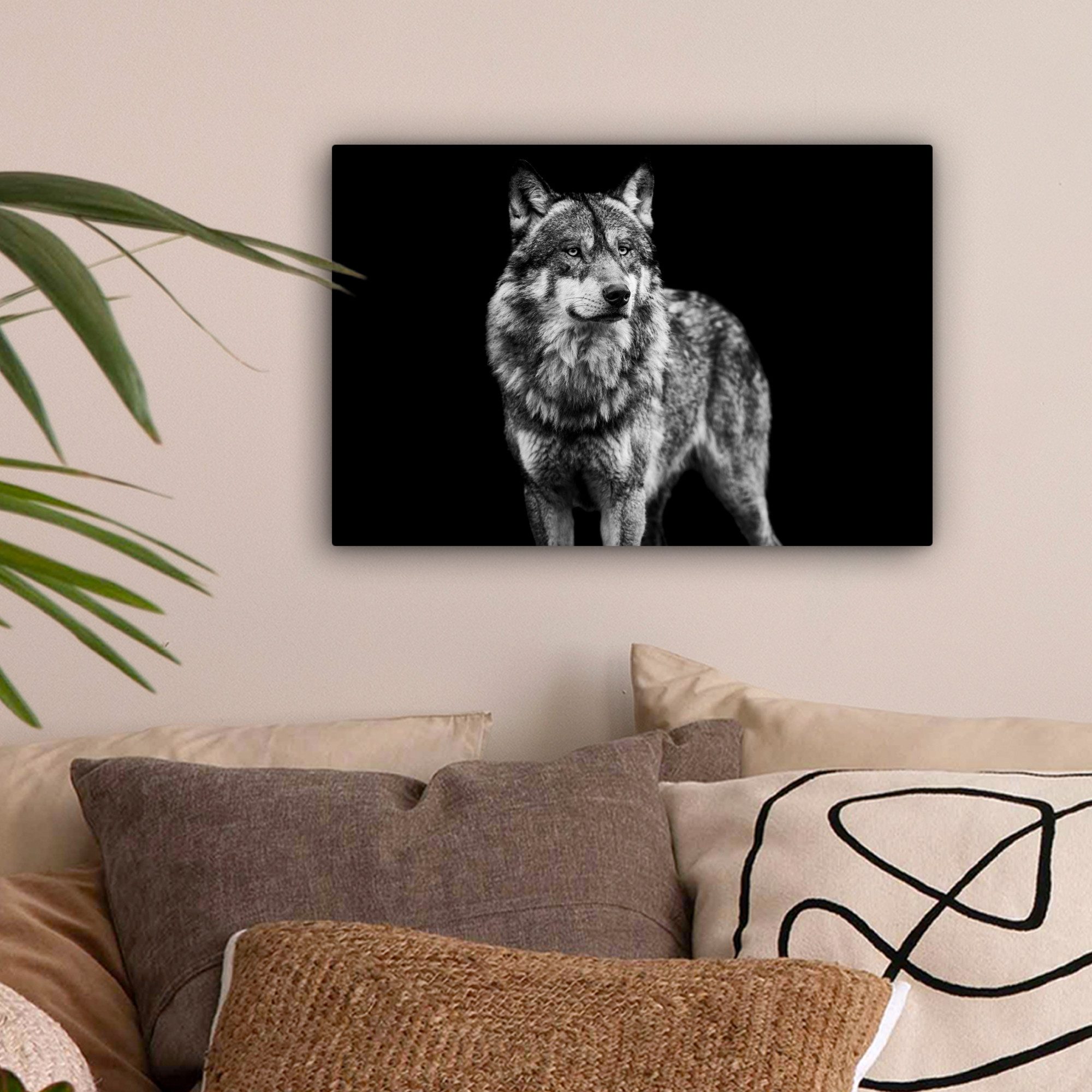 OneMillionCanvasses® Leinwandbild Wolf - Tiere - Wild - Schwarz - Weiß, Fot günstig online kaufen