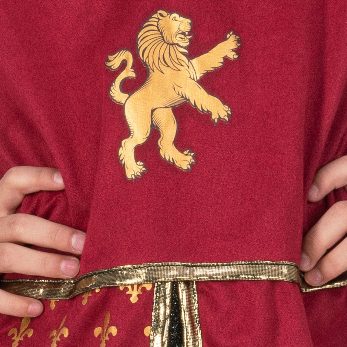 CHAKS Knight Prince Costume for Children Medieval Dress-Up