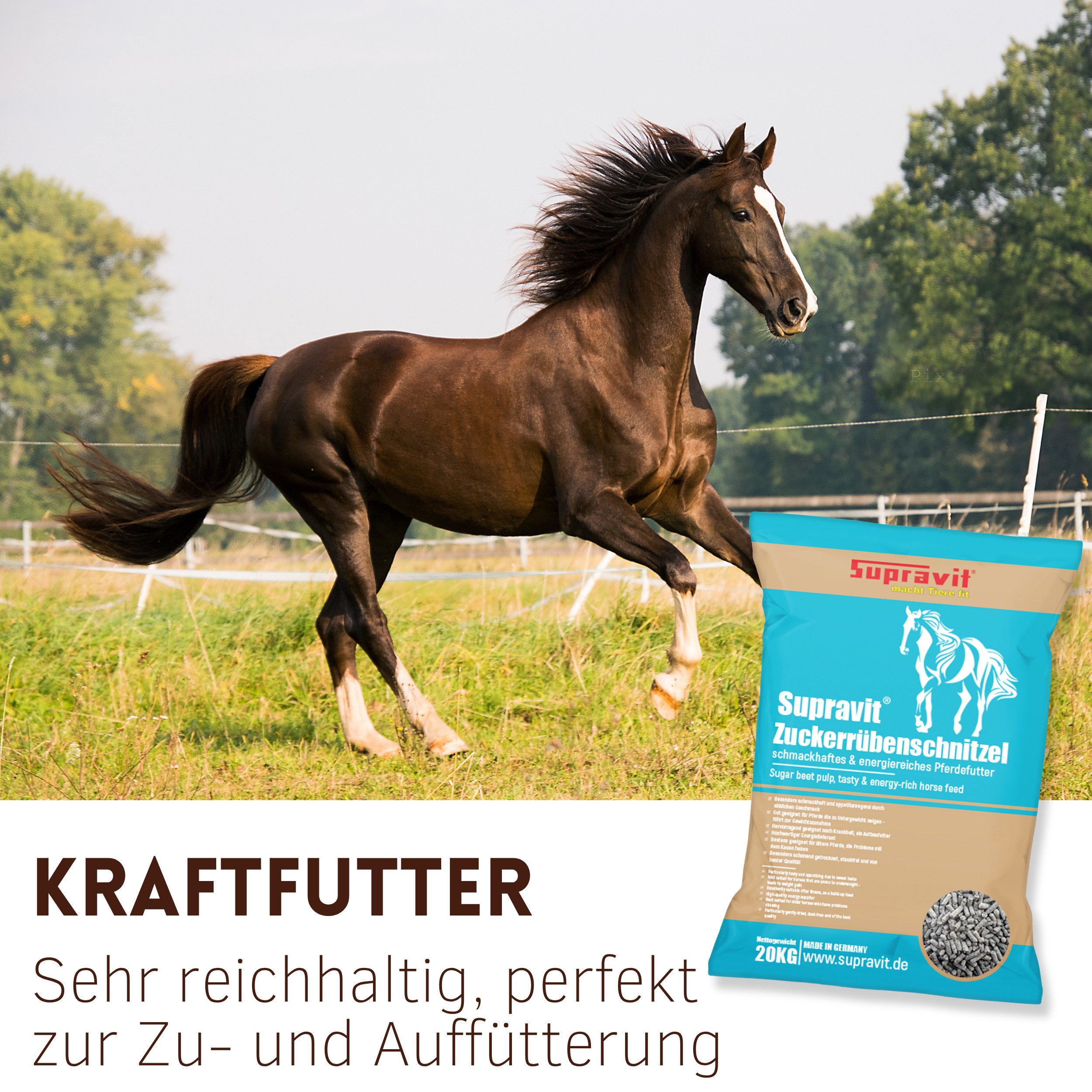 Supravit Rübenschnitzel 20kg - Schmackhaftes & energiereiches Pferdefutter RÜBENSCHNITZEL, Ergänzungsfutter für: Pferd – Bild 3 von 5