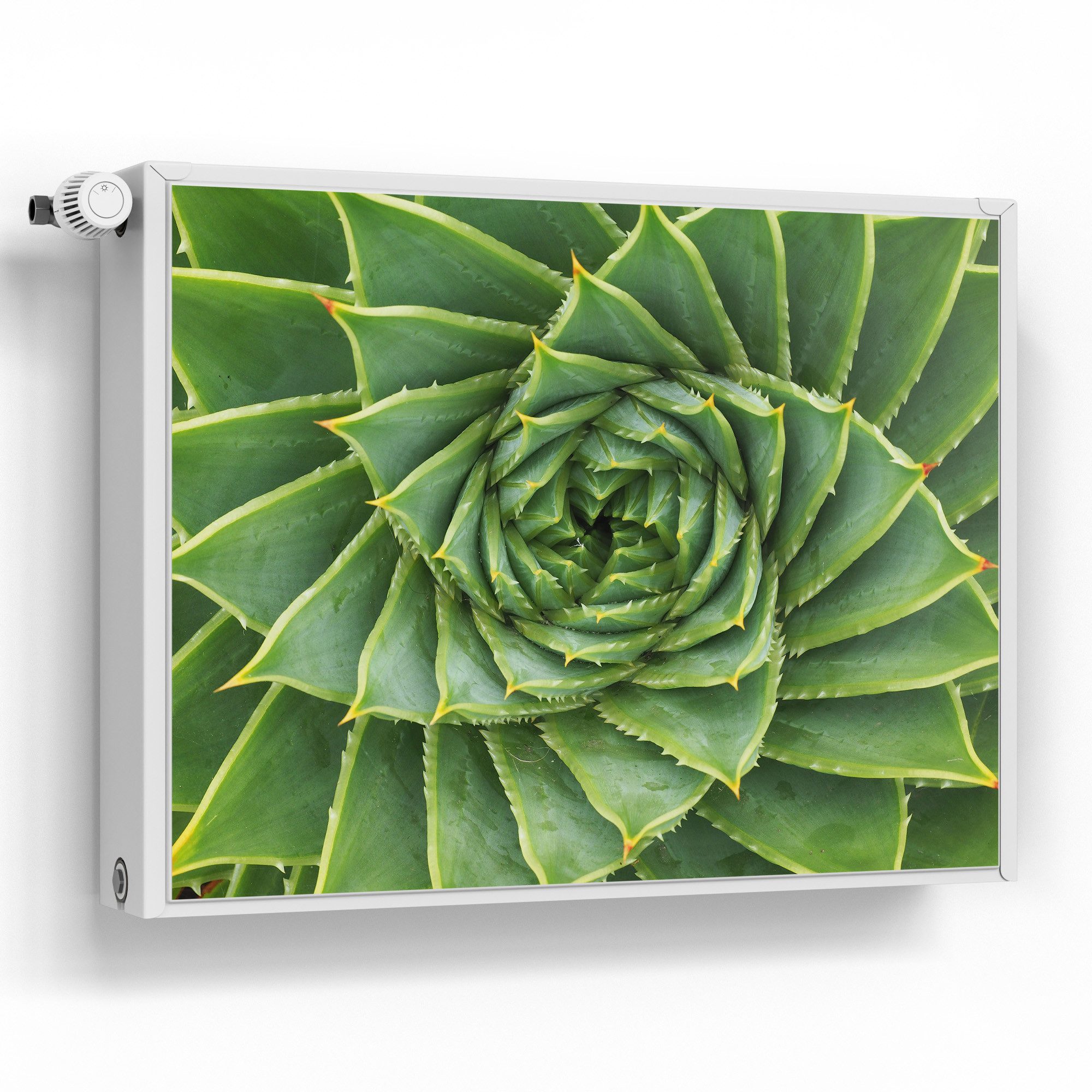 DEQORI Magnetfolie 'Alchemie der Aloe', beschreibbar Heizung Magnetmatte magnetisch Magnetfolie