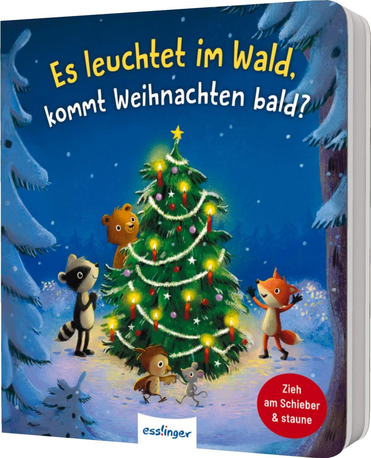 Es leuchtet im Wald, kommt Weihnachten bald? / Anja Kiel