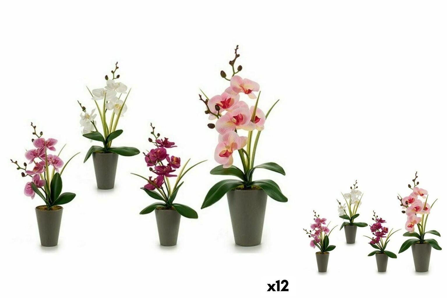 Ibergarden Dekoobjekt Dekorationspflanze Orchidee Kunststoff 8 x 35 x 14 cm 12 Stück