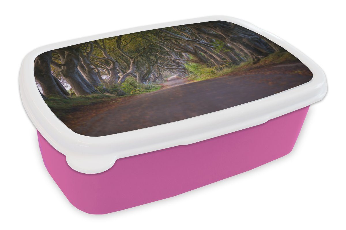 Naturtunnel Irland, Mädchen, Erwachsene, Brotdose MuchoWow (2-tlg), rosa für Kinder, in Snackbox, Brotbox Lunchbox Kunststoff, Kunststoff