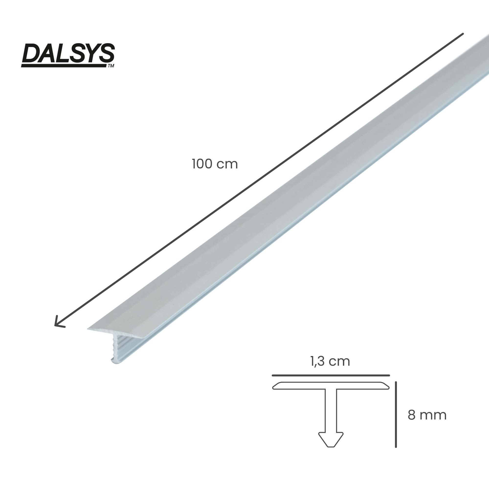 Dalsys Übergangsprofil T-Profil Übergangsprofil aus eloxiertem Aluminium (100 cm x 13 mm, Silber, 1-St), Bodenprofil