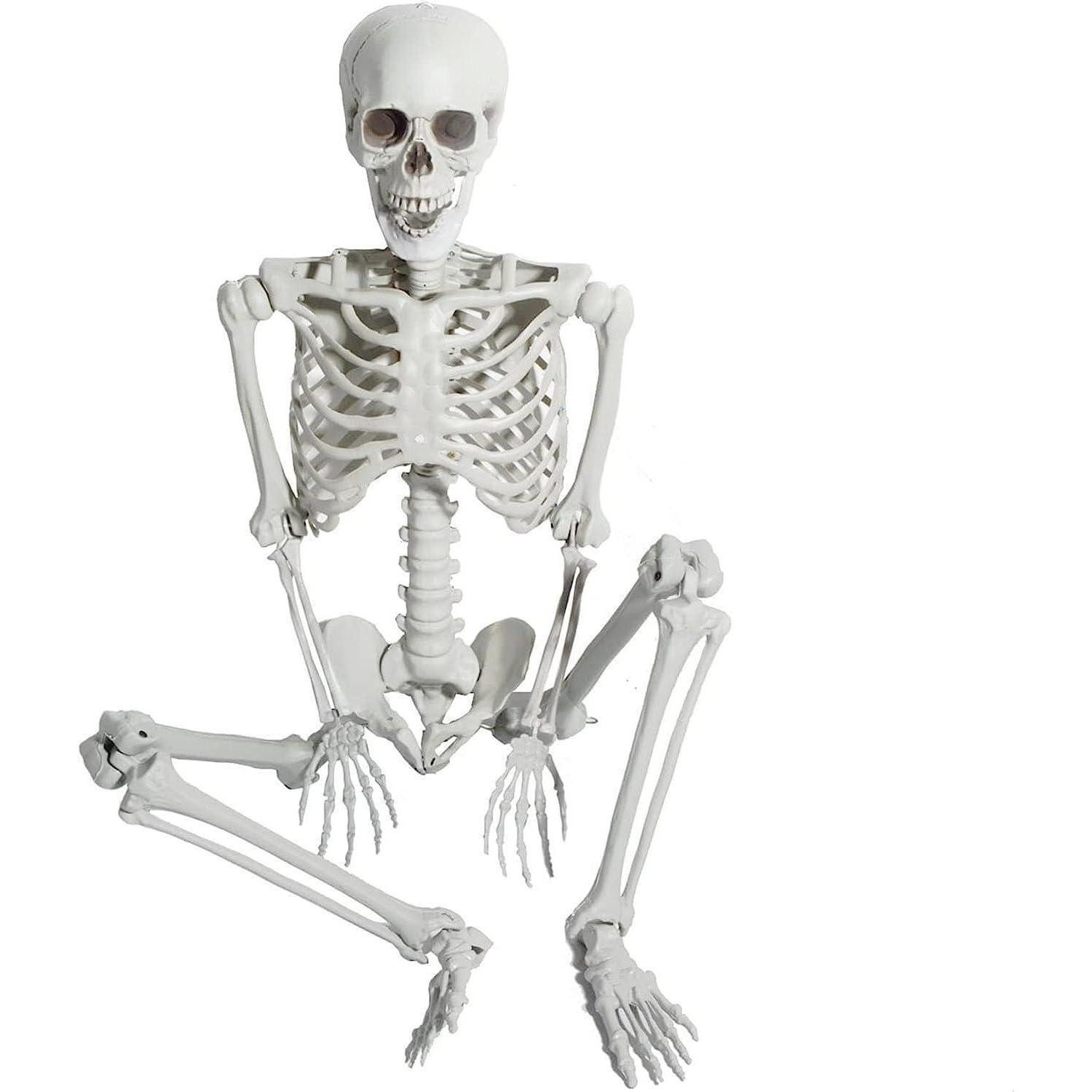 LuxusKollektion Dekofigur Halloween Skelett 165cm