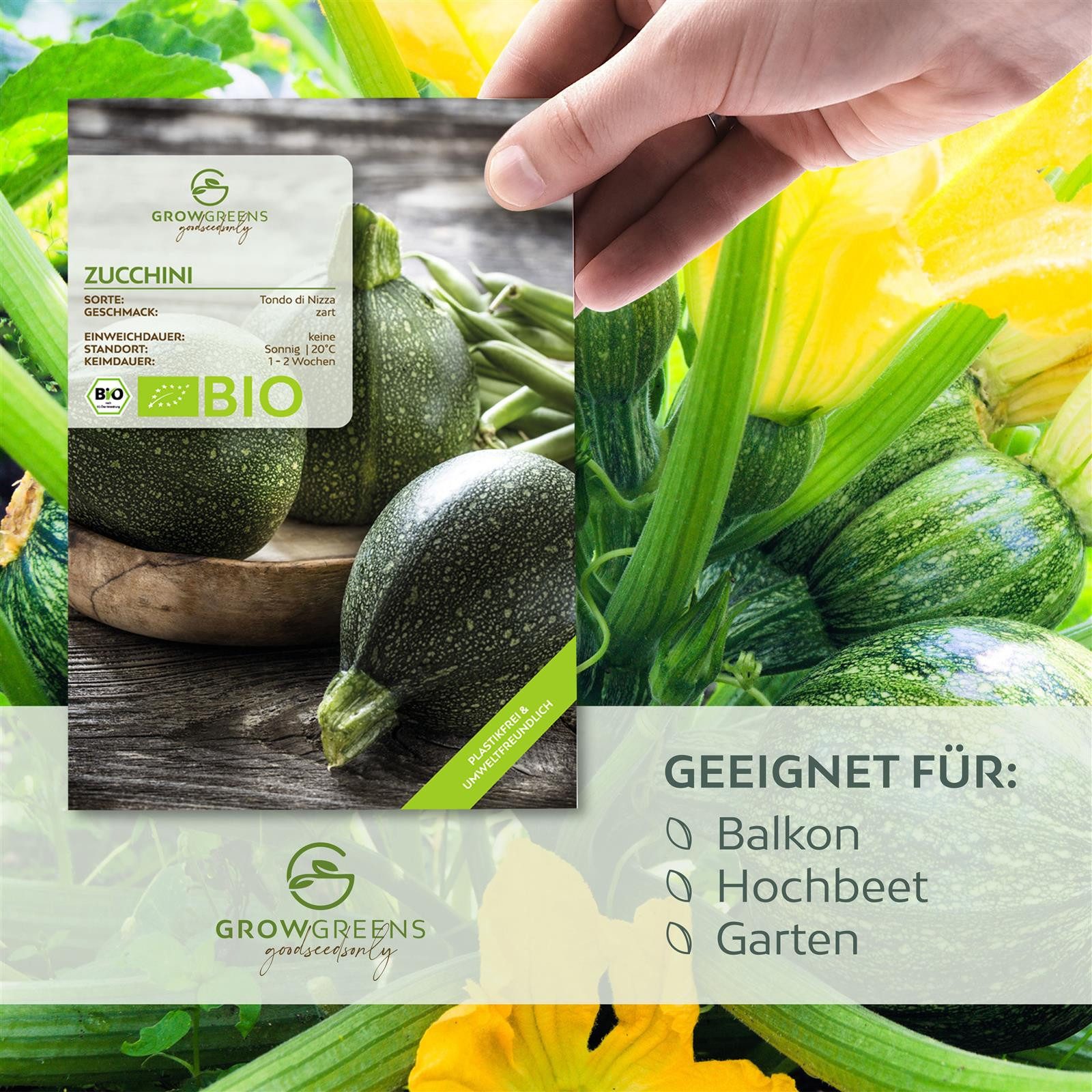 Growgreens Gemüsesamen BIO Zucchini Samen Rund (Tondo di Nizza) - Zucchini günstig online kaufen
