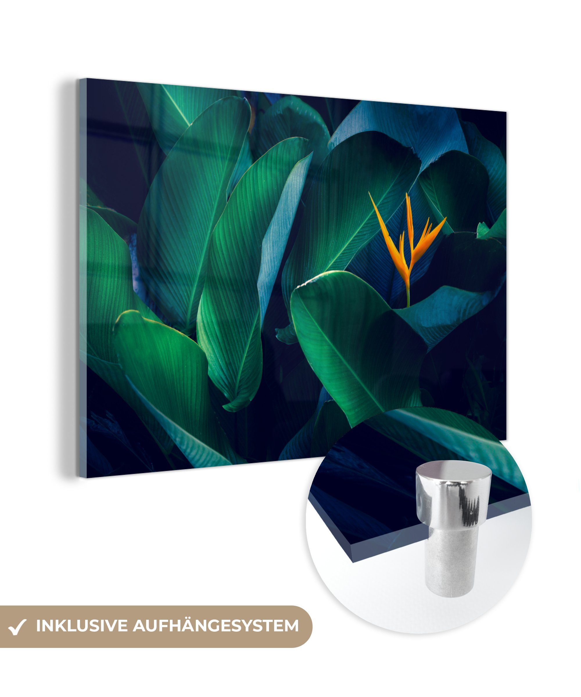 MuchoWow Acrylglasbild Tropische Blätter mit Blume, (1 St), Acrylglasbilder Wohnzimmer & Schlafzimmer