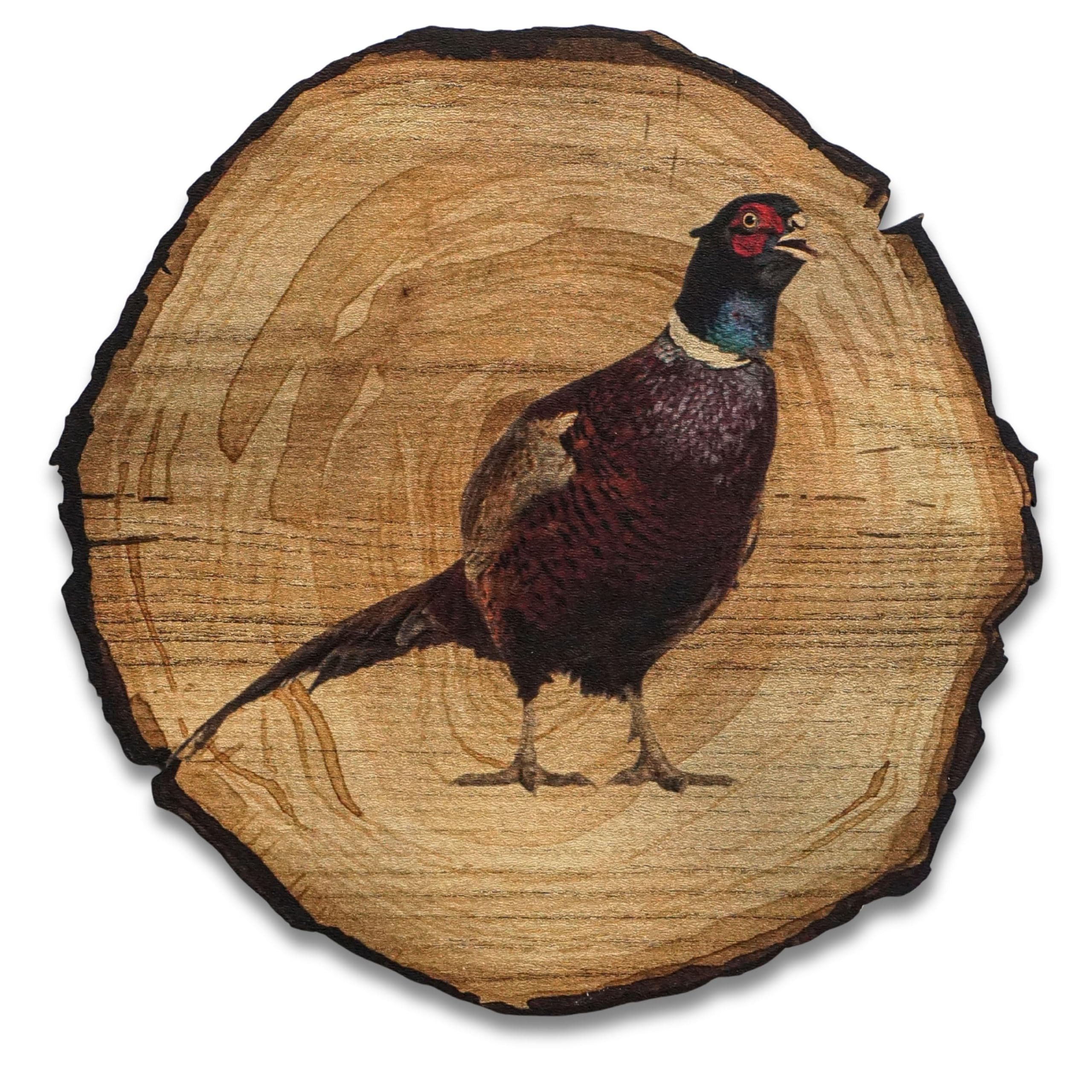 DARO Design Wandbild Tiere Holzoptik Wandbilder Wand Deko Bilder Vintage, (Fasan - Bild klein Wohnzimmer Flur Schlafzimmer Diele Arbeitszimmer Einteilig Rund Fotodruck Baumscheiben-Tiere), 20x20 cm