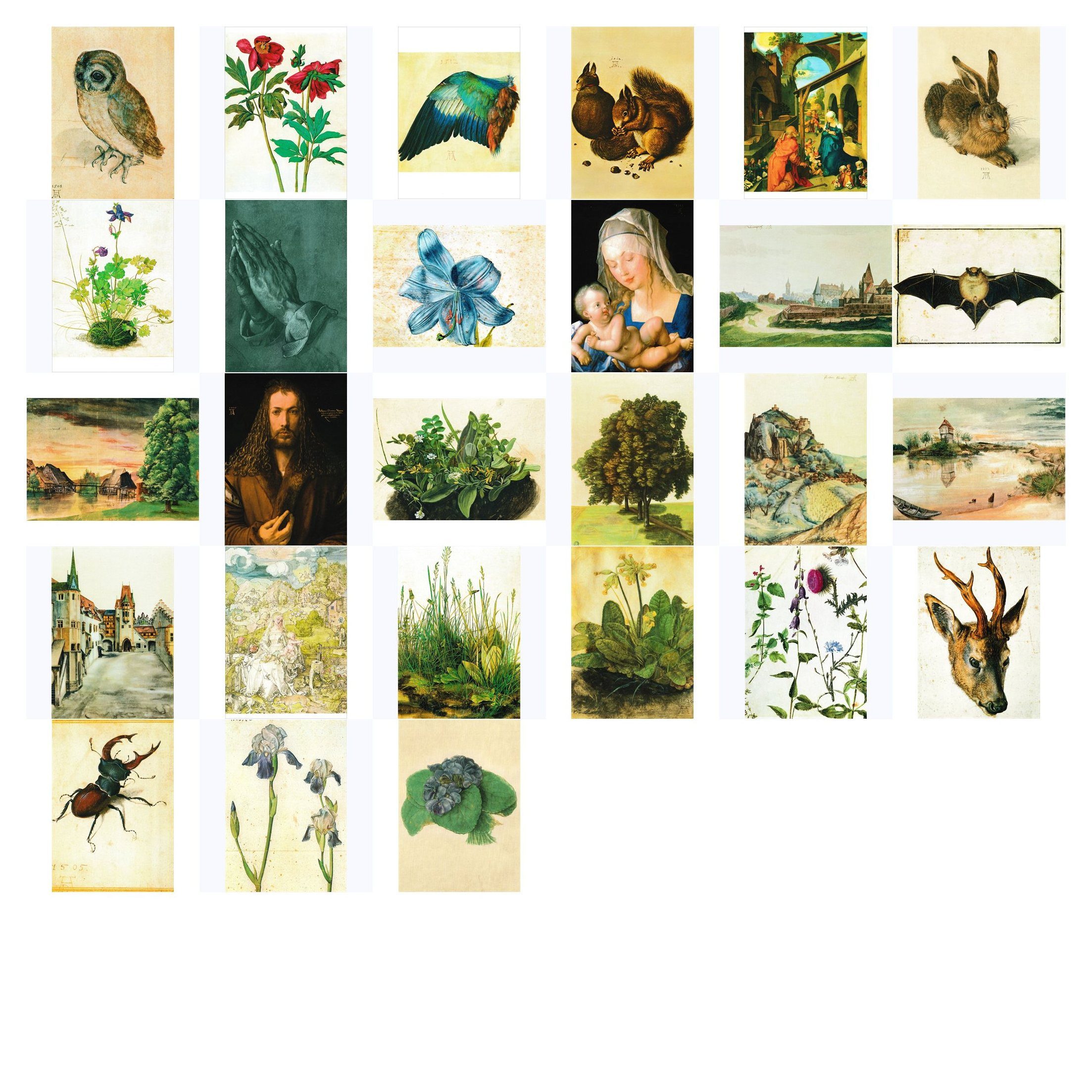 postkarten-universum.de Postkarte Kunstkarten-Komplett-Set Albrecht Dürer