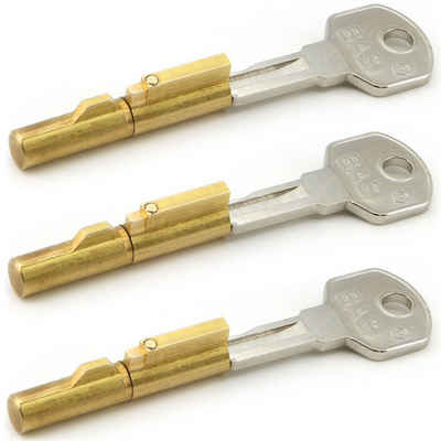 BASI Gitterrostsicherung »3 x BASI® Schlüssellochsperrer GL 2 Schlüssel«, gleichschließend