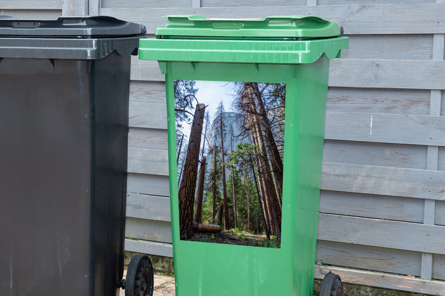 Container, St), Mülltonne, Abfalbehälter Bäume Wandsticker Die Yosemite-Nationalpark im hohen Mülleimer-aufkleber, MuchoWow (1 Sticker,