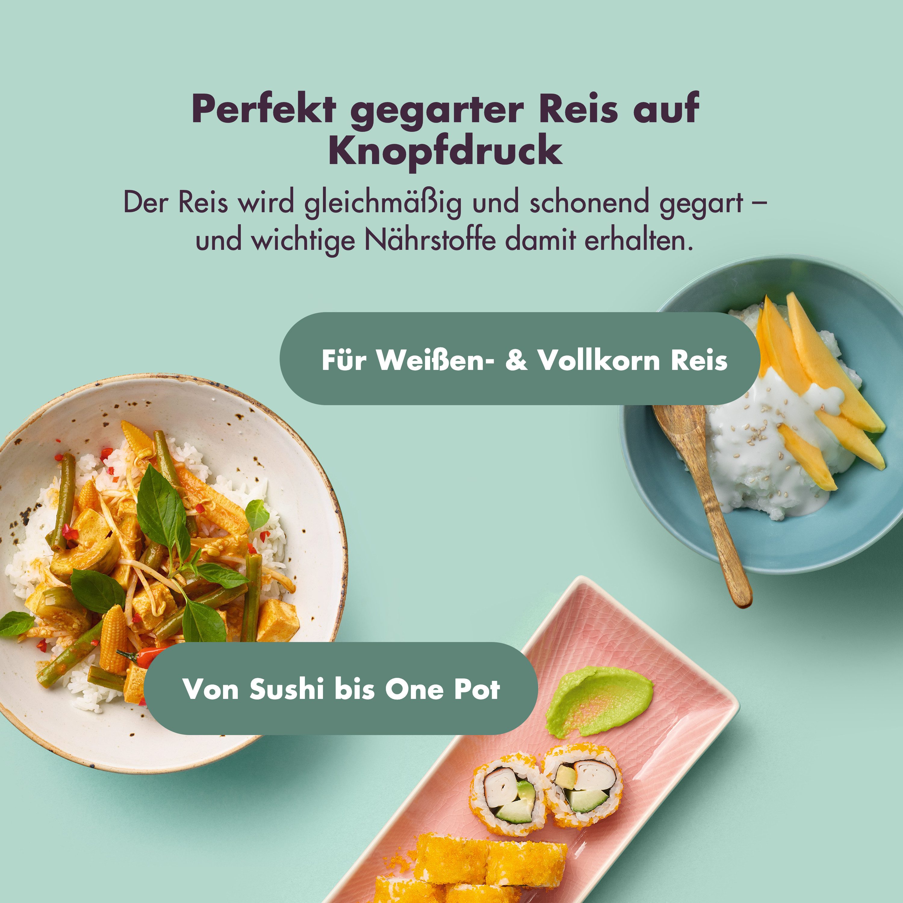 Reishunger Reiskocher kleines digitales Modell – 0,6 L – Multikocher – 8 Programme –, 350 W, Dämpfeinsatz, Messbecher, Reislöffel, Timer- und Warmhaltefunktion