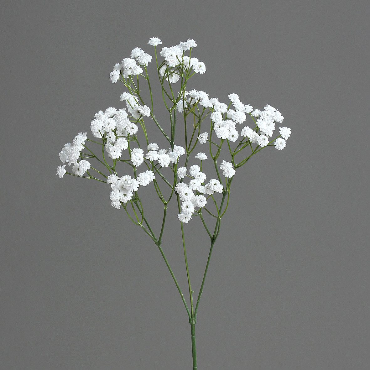 Kunstblume Dekozweig, DPI, Höhe 67 cm günstig online kaufen