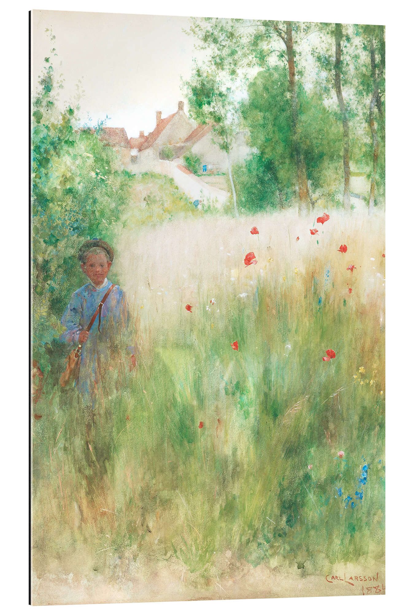 Posterlounge Wandbild Mohn, Carl Larsson, erhältlich als Poster, Leinwandbild, Wandsticker oder Acrylglasbild