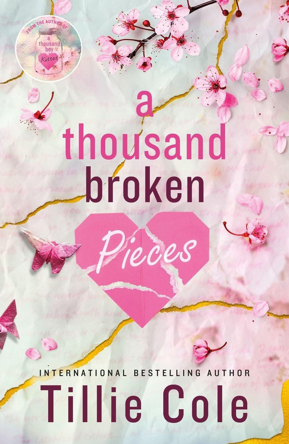 A Thousand Broken Pieces / Tillie Cole