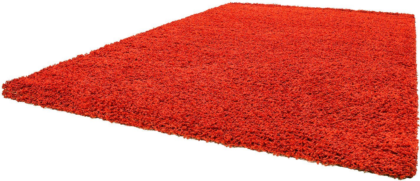 große Hochflor-Teppich robust, rund terra auch und 1500, uni, Life als Höhe: 30 in Langflor, rechteckig, Teppiche, mm, Farbauswahl, Läufer Ayyildiz Shaggy