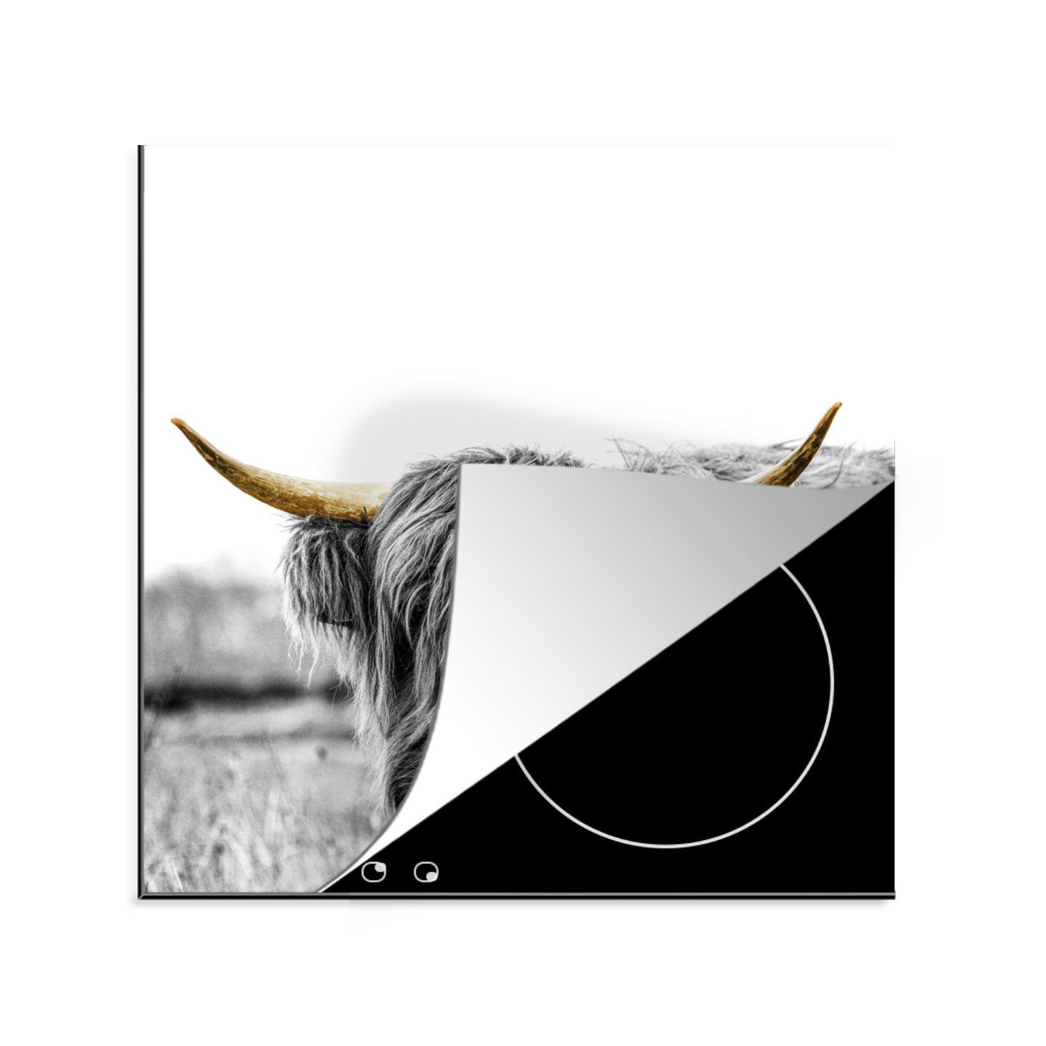 MuchoWow Herdblende-/Abdeckplatte Schottische Highlander - Natur - Goldene Hörner, Vinyl, (1 tlg), 78x78 cm, Ceranfeldabdeckung, Arbeitsplatte für küche