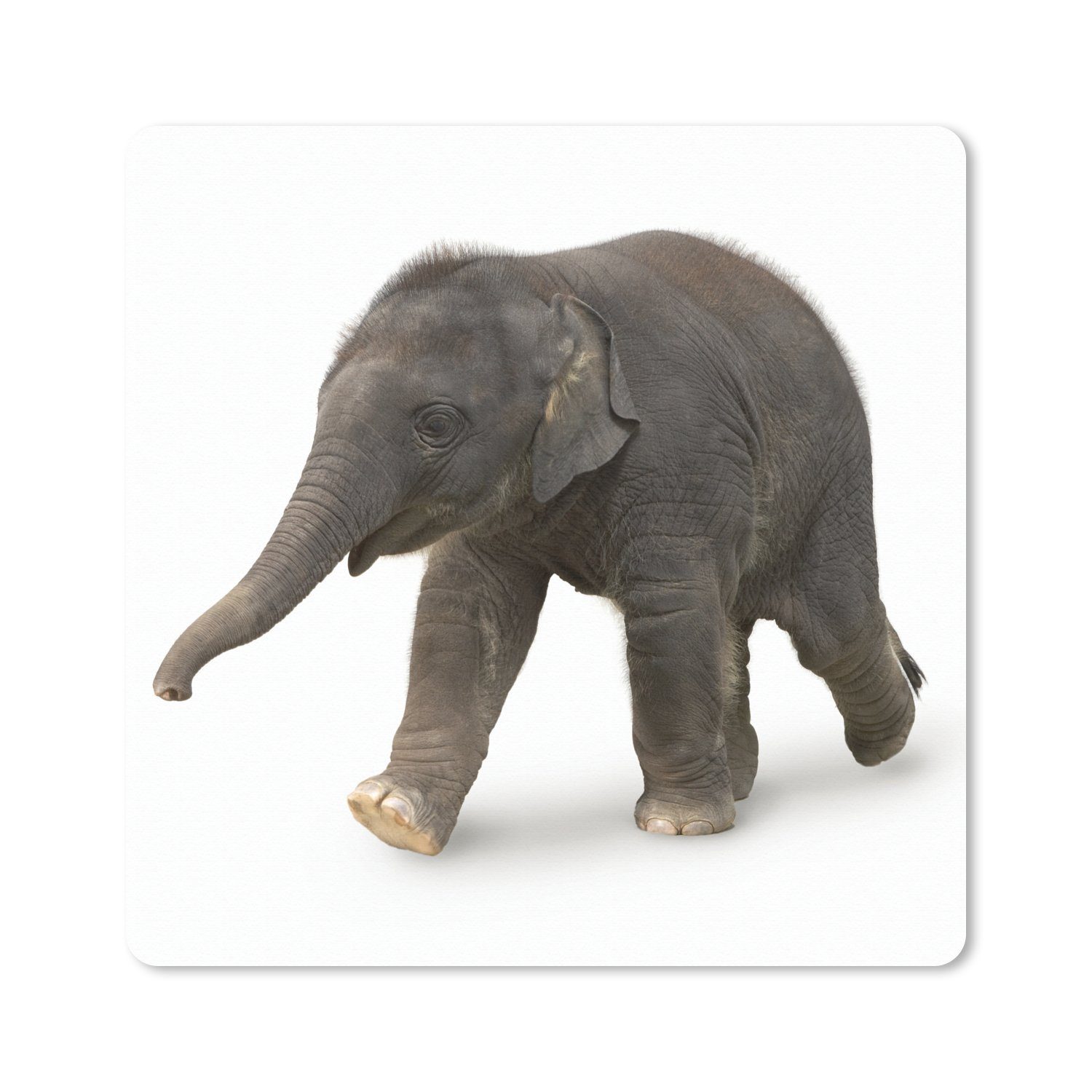 MuchoWow Gaming Mauspad Kleiner Elefant auf weißem Hintergrund (1-St), Mousepad mit Rutschfester Unterseite, Gaming, 40x40 cm, XXL, Großes