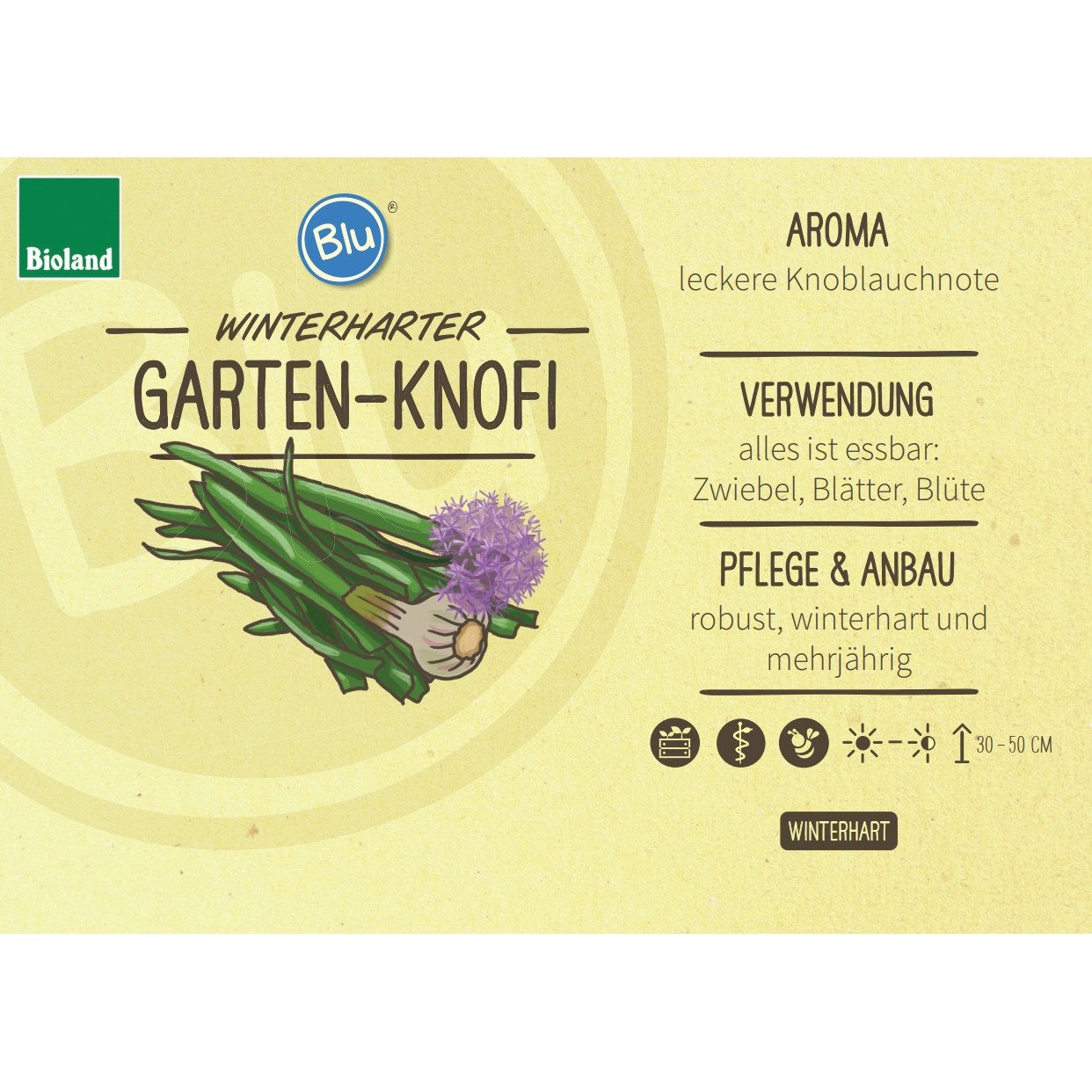 Exotenherz Gewürzkraut Gartenknofi in BIO-Qualität Allium Hybride Kräuterpflanze im 12cm Topf
