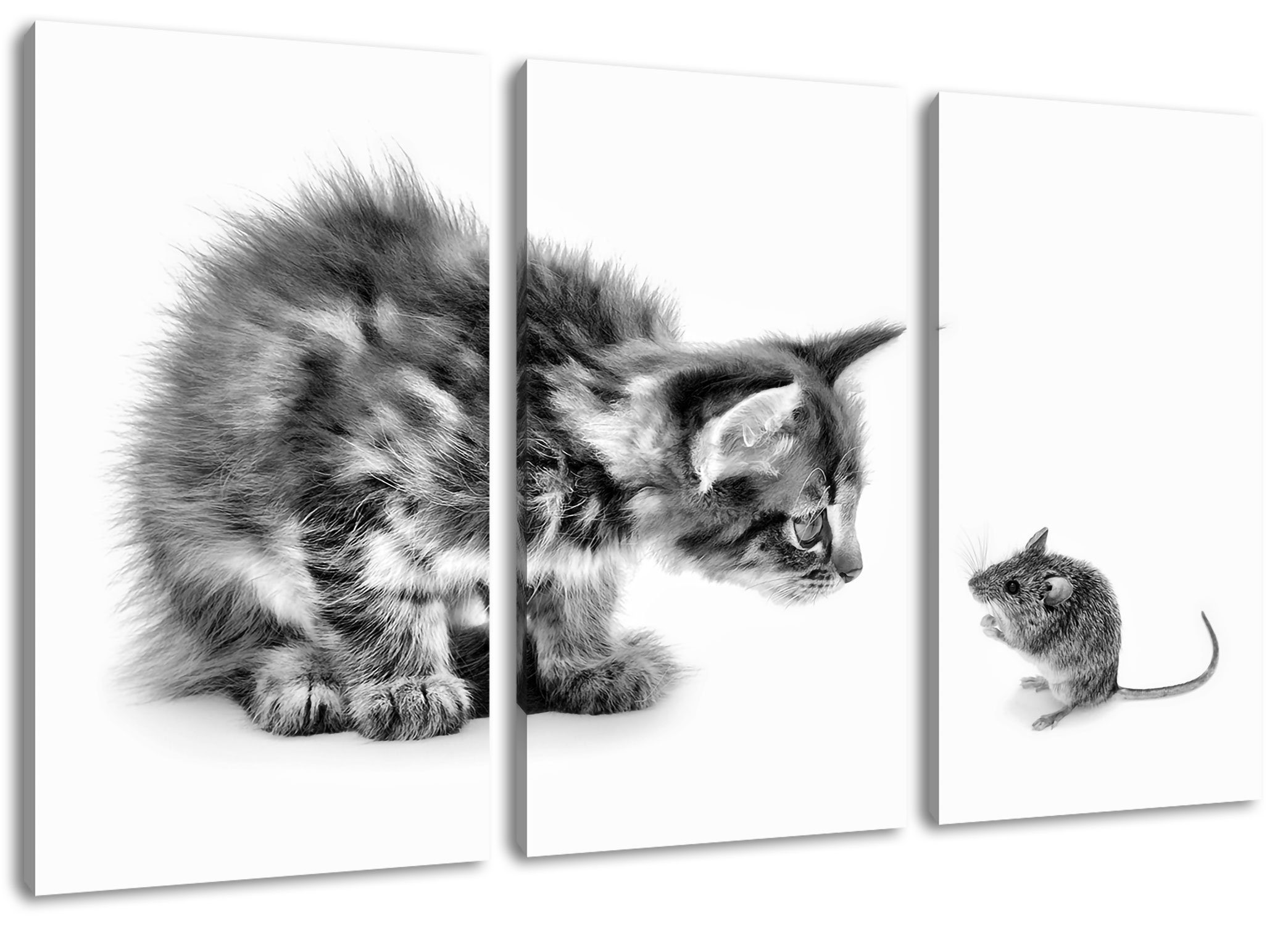 3Teiler Leinwandbild und Katze St), Freunde, Katze Leinwandbild Pixxprint inkl. (1 (120x80cm) Maus Zackenaufhänger Freunde bespannt, Maus und fertig