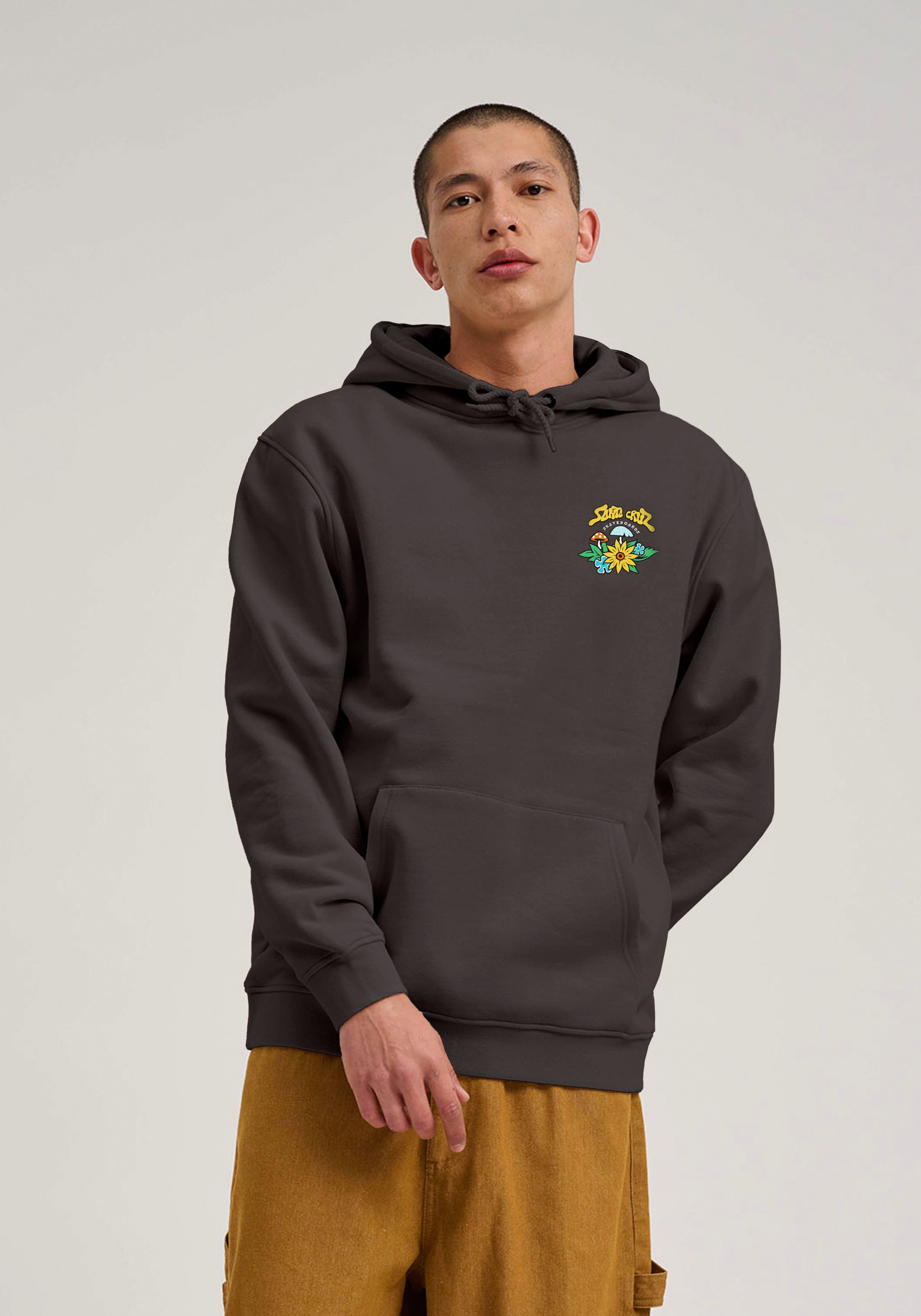 Santa Cruz Kapuzensweatshirt WINKOWSKI DOPE PLANET 2 CENTRE HOOD (1-tlg) günstig online kaufen