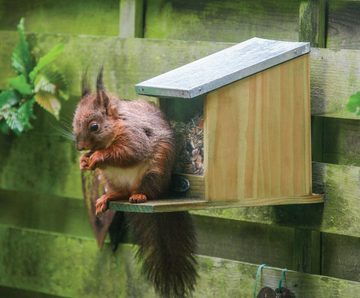 esschert design Eichhörnchenkobel, Futterstation mit Metalldach, ohne Nüsse