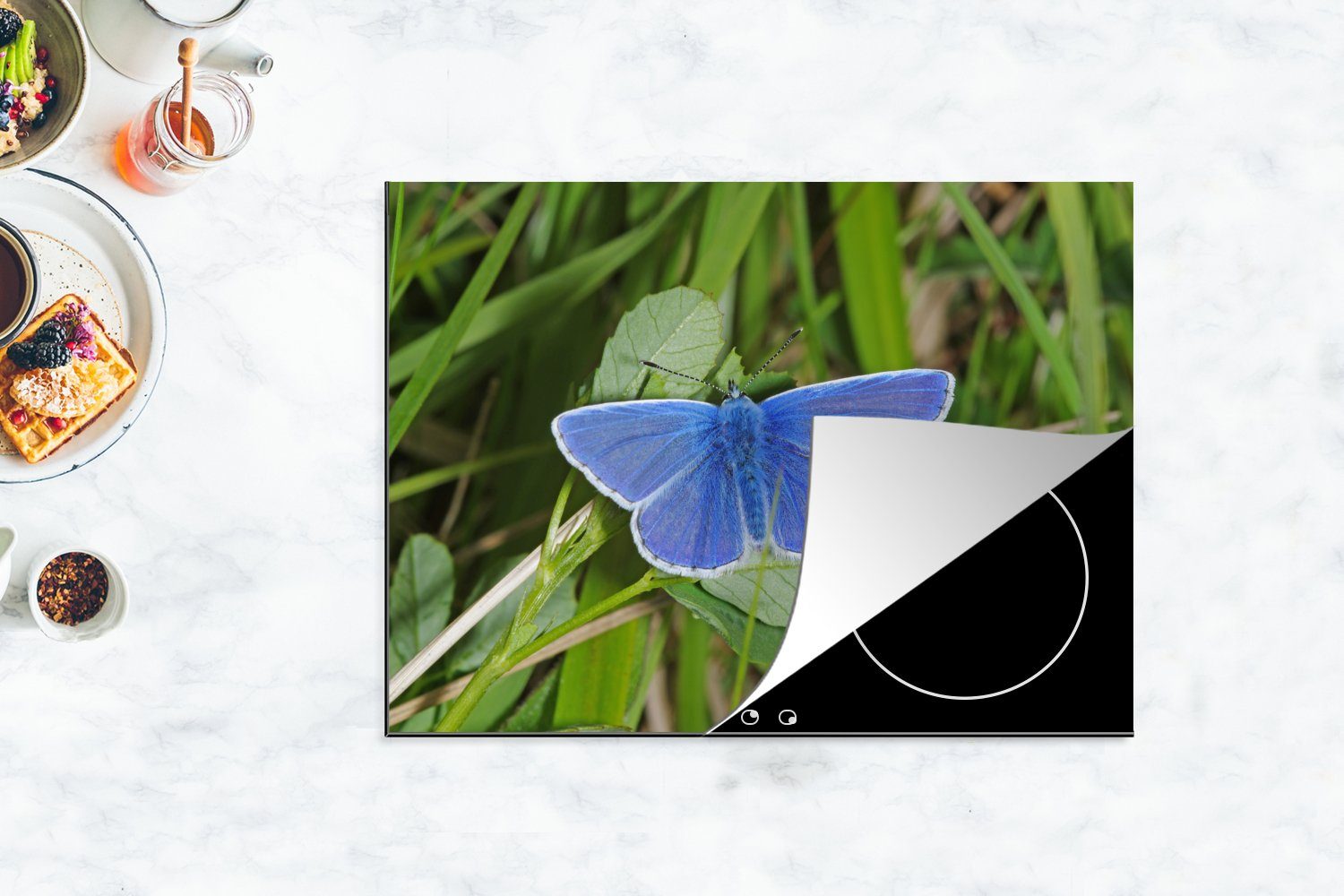 Schmetterling 70x52 (1 tlg), auf Ceranfeldabdeckung Vinyl, Ikarusblauer Blättern, cm, Arbeitsfläche Mobile nutzbar, MuchoWow Herdblende-/Abdeckplatte