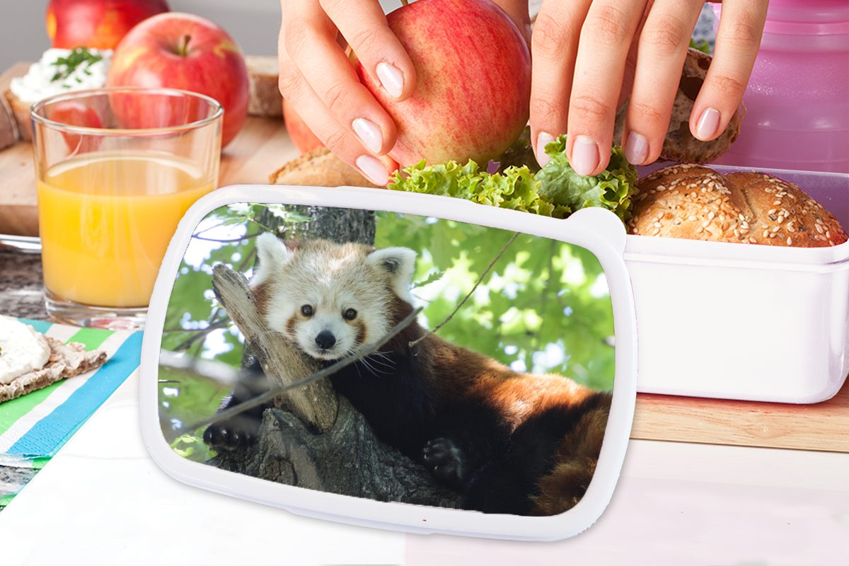 MuchoWow weiß Brotbox und Grün, Roter Lunchbox Panda Erwachsene, Mädchen und - Jungs - für Kinder Baum Kunststoff, für Brotdose, (2-tlg),