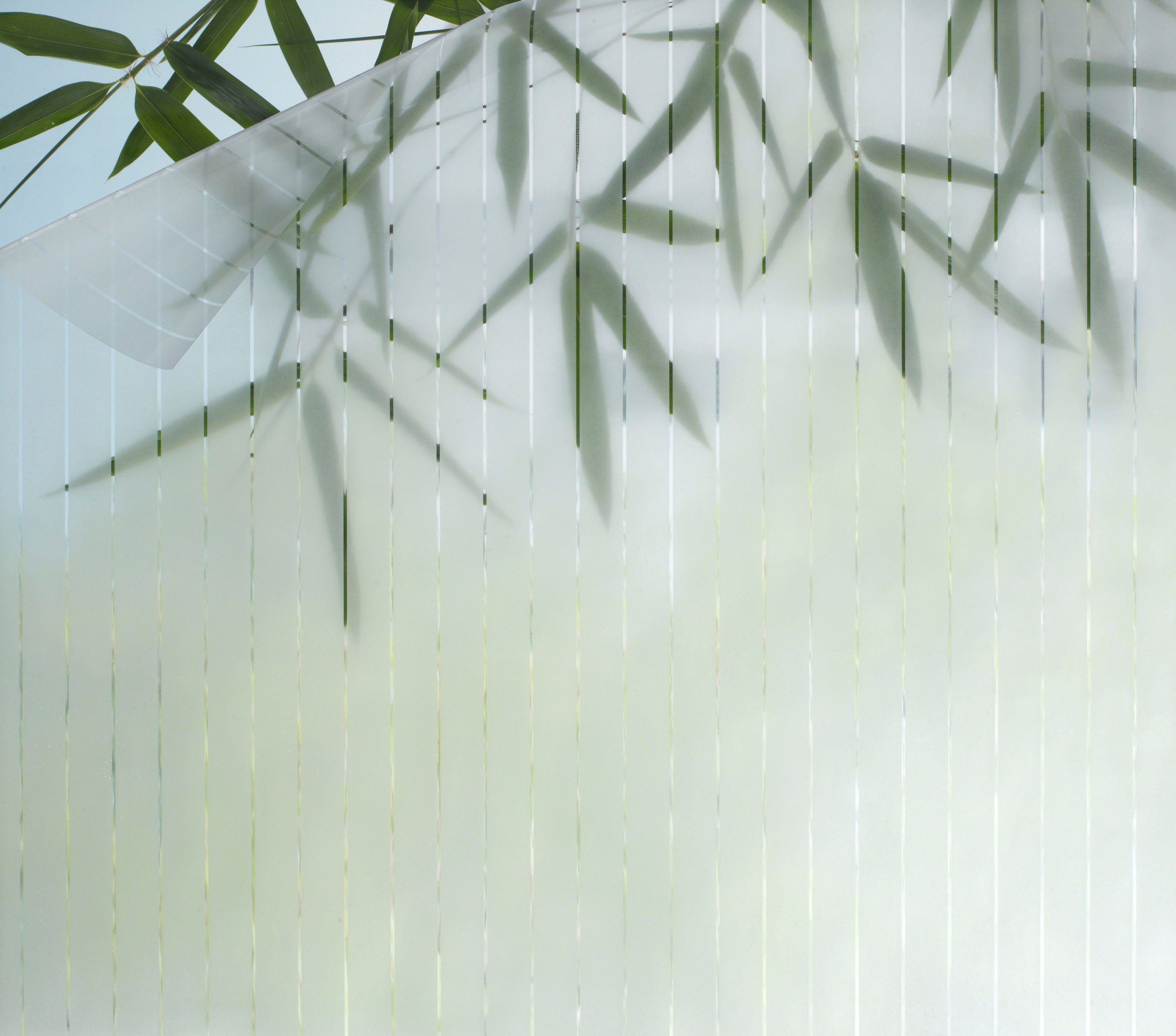 GARDINIA Fensterfolie Line 25, halbtransparent, 80% UV-Schutz – Bild 2 von 5