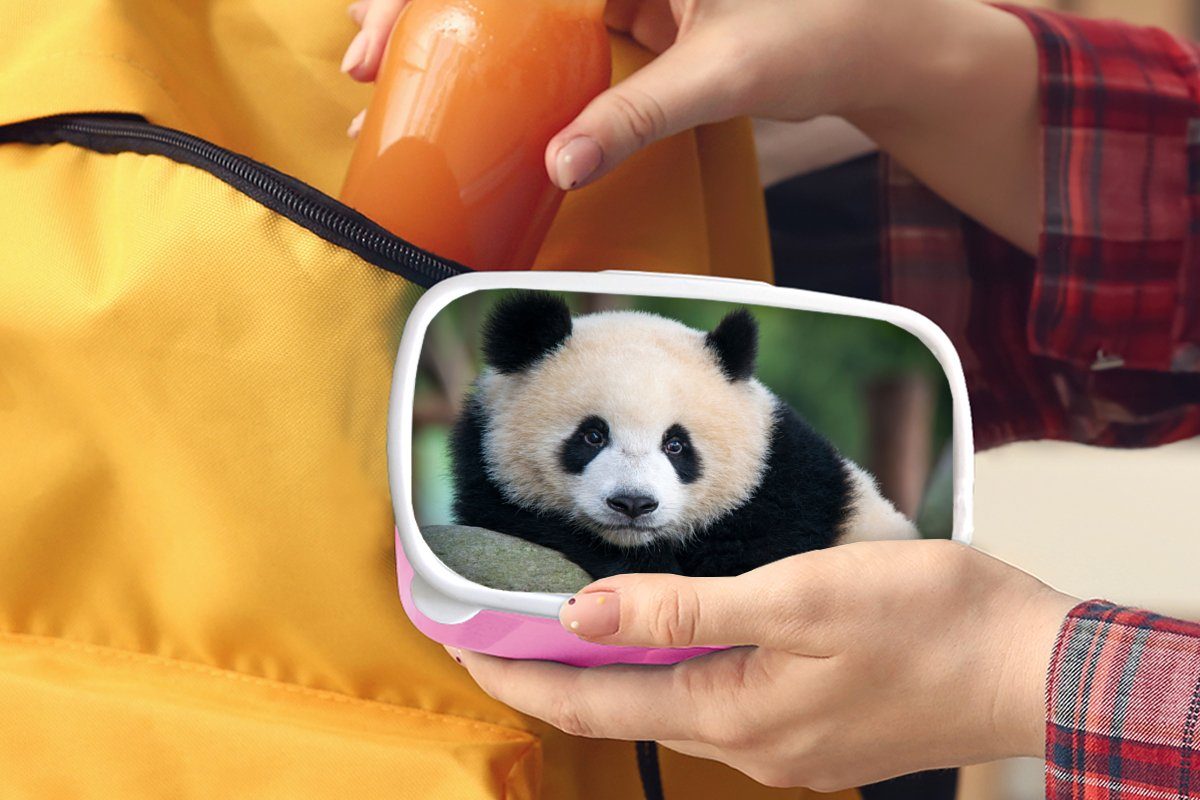 Erwachsene, Kinder, Panda Brotdose - Kunststoff, - MuchoWow Porträt Stein, (2-tlg), rosa - für Wildtiere Lunchbox Mädchen, Kunststoff Brotbox Snackbox,