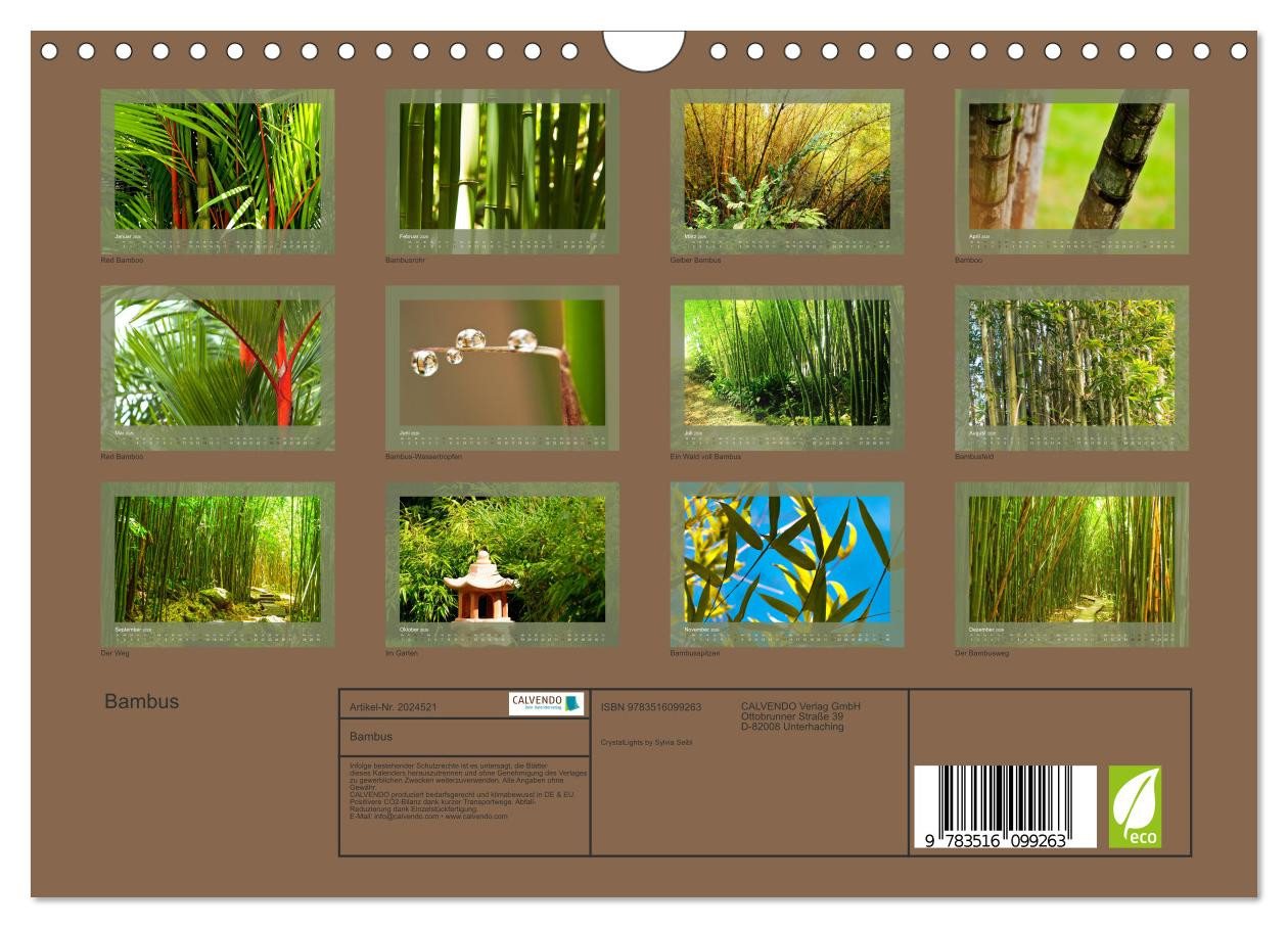 Thumbnail - CALVENDO Wandkalender Bambus (Wandkalender 2026 DIN A4 quer), CALVENDO Monatskalender