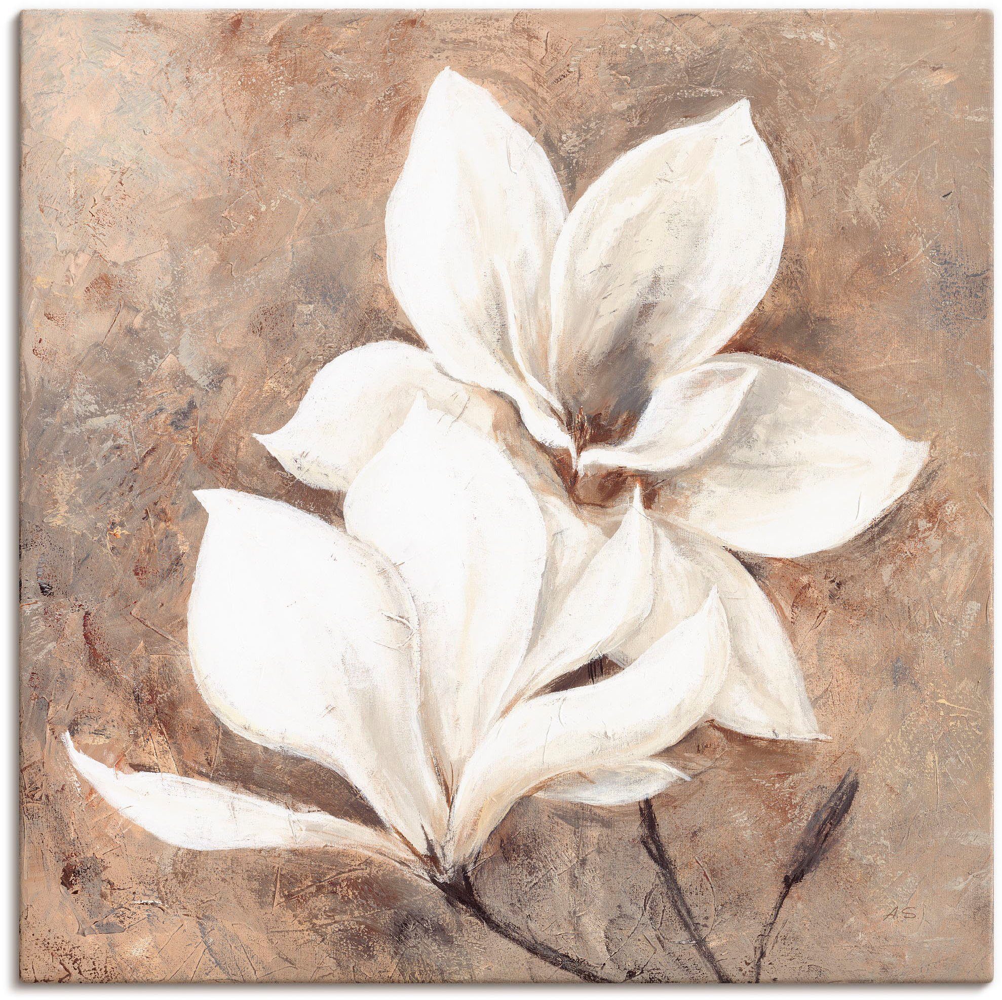 Artland Leinwandbild Klassische Magnolien, Blumen (1 St), auf Holzrahmen gespannt