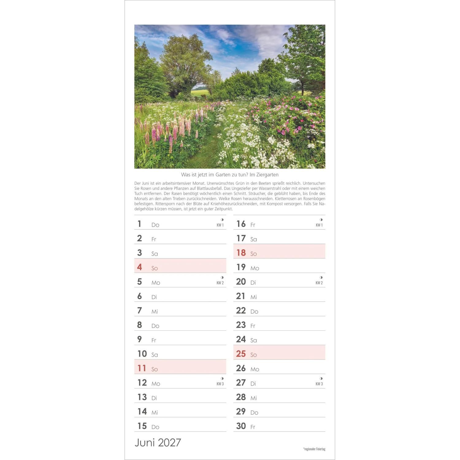 NEUMANN Wandkalender Gartenplaner 2027