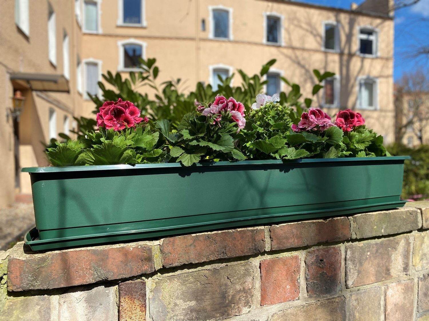 BURI Blumenkasten Blumenkasten Grün 80 oder 100cm Balkonkasten Pflanzkasten mit Einleger (1 St)