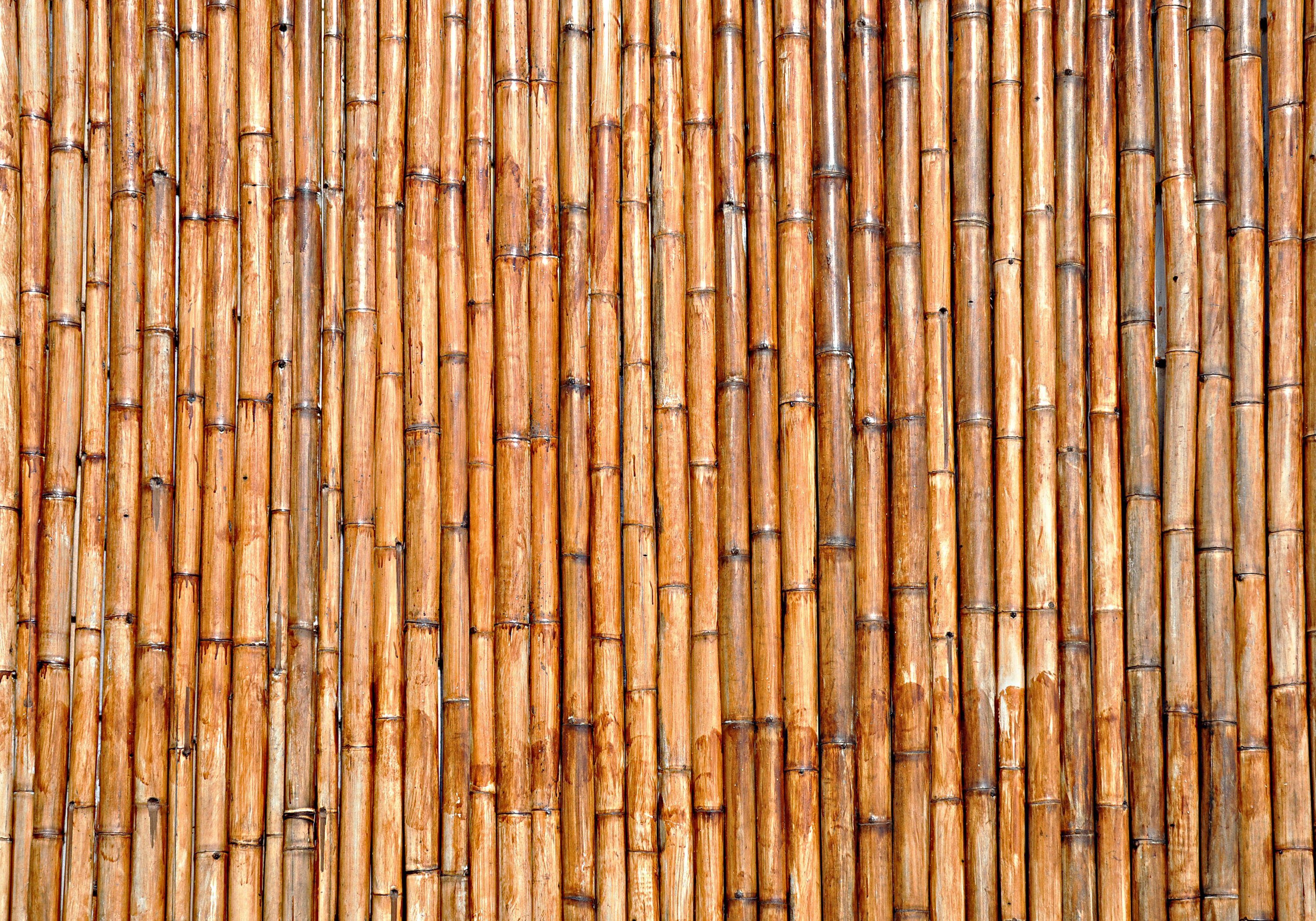 wandmotiv24 Fototapete Bambus Holz Natur, Vliestapete Motivtapete, Wandtapete, glatt, matt