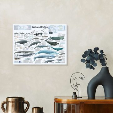 Posterlounge XXL-Wandbild Planet Poster Editions, Wale und Delfine, Kinderzimmer Maritim Kindermotive