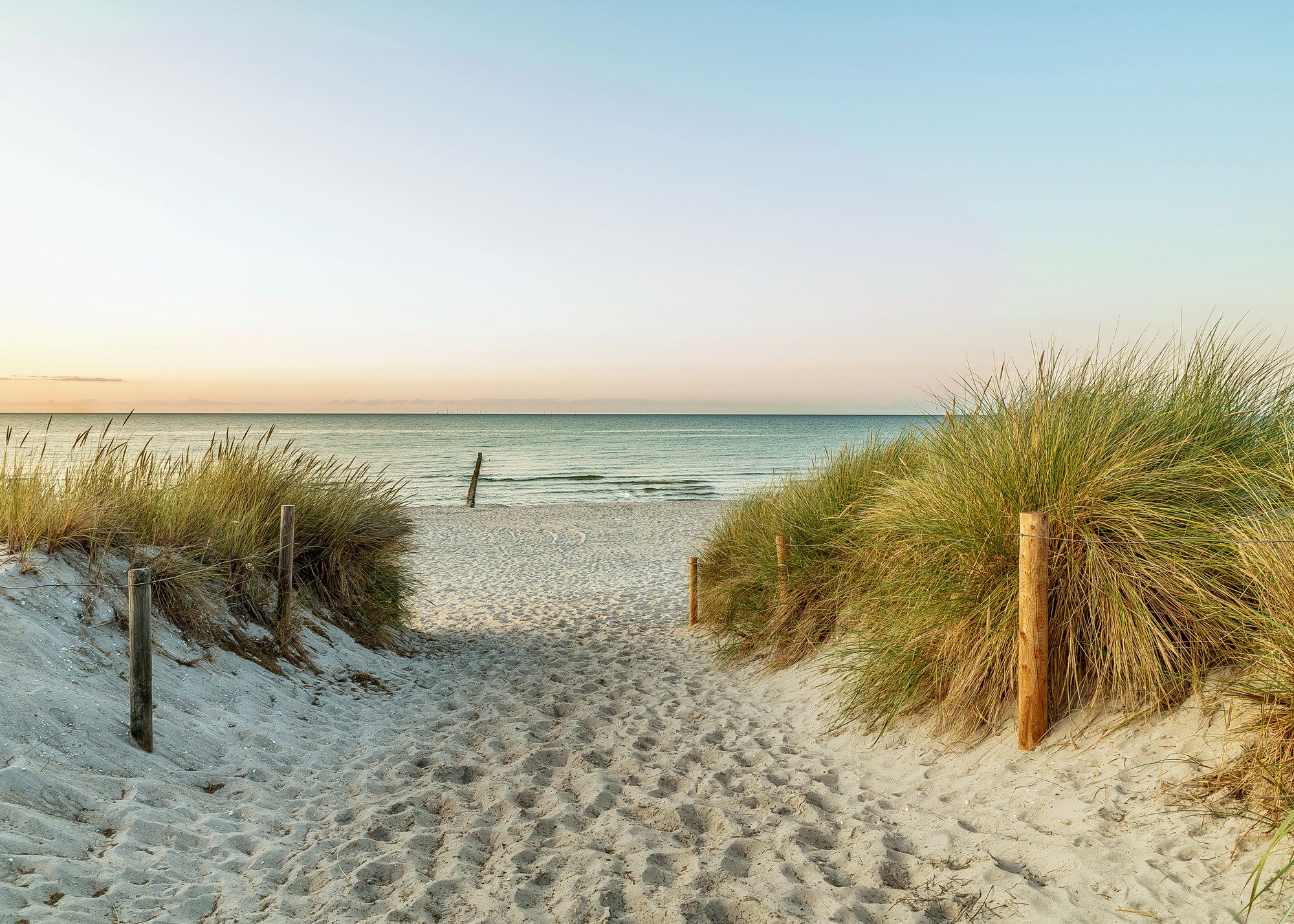 Rasch Fototapete Strand Dünen und Horizont - 2,65m x 3,71m, glatt, Meer, Natur, Strand, Landschaft, (1 Rolle, 1 St), Dünen, Sand