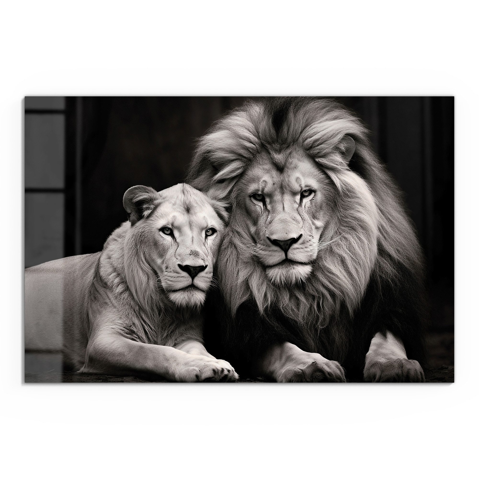 DEQORI Glasbild 'Stolzes Löwenpaar', 'Stolzes Löwenpaar', günstig online kaufen