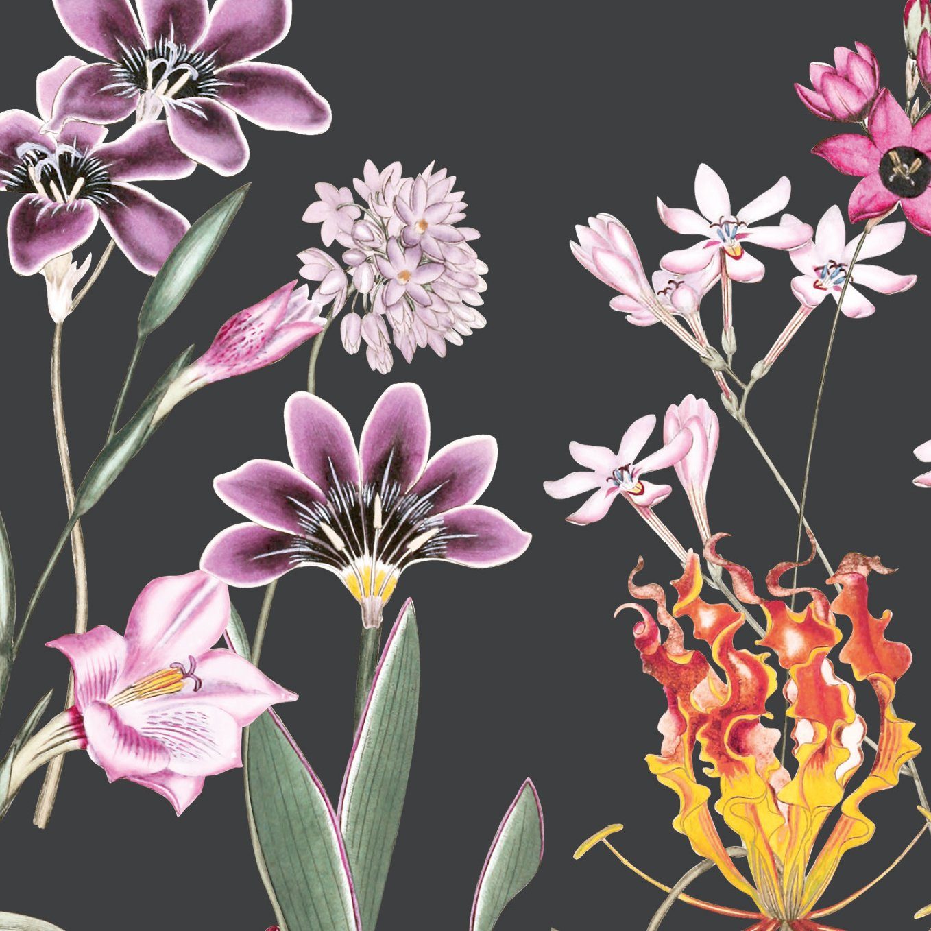 Blüten Bordüre selbstklebend mit Natur Design – Creme, Beige