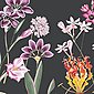 anna wand Bordüre »Botanical Garden / Blumen - schwarz/mehrfarbig - selbstklebend«, floral, selbstklebend, Bild 1